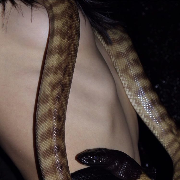 angel face OnlyFans header