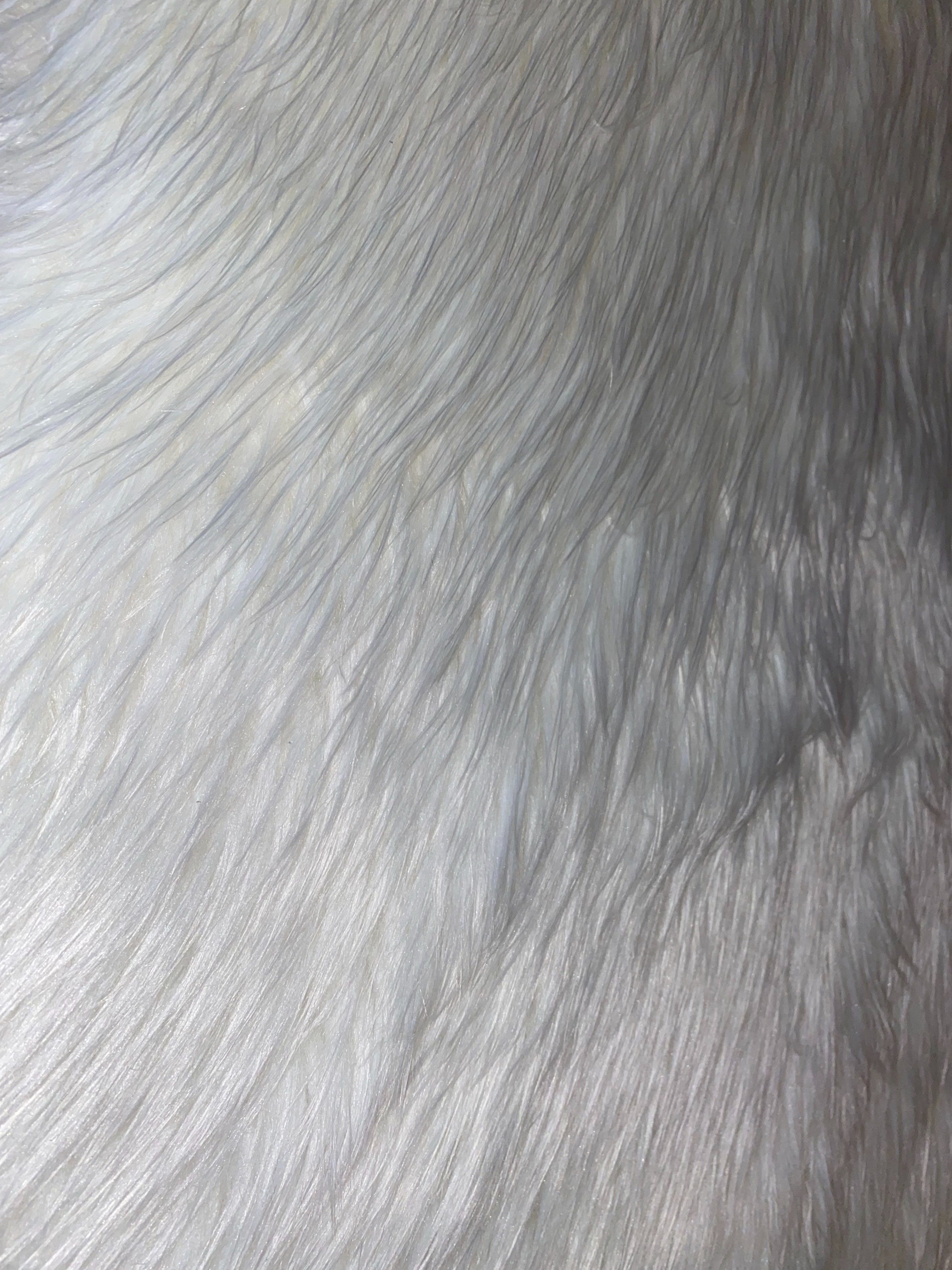 Venus Obsession OnlyFans header