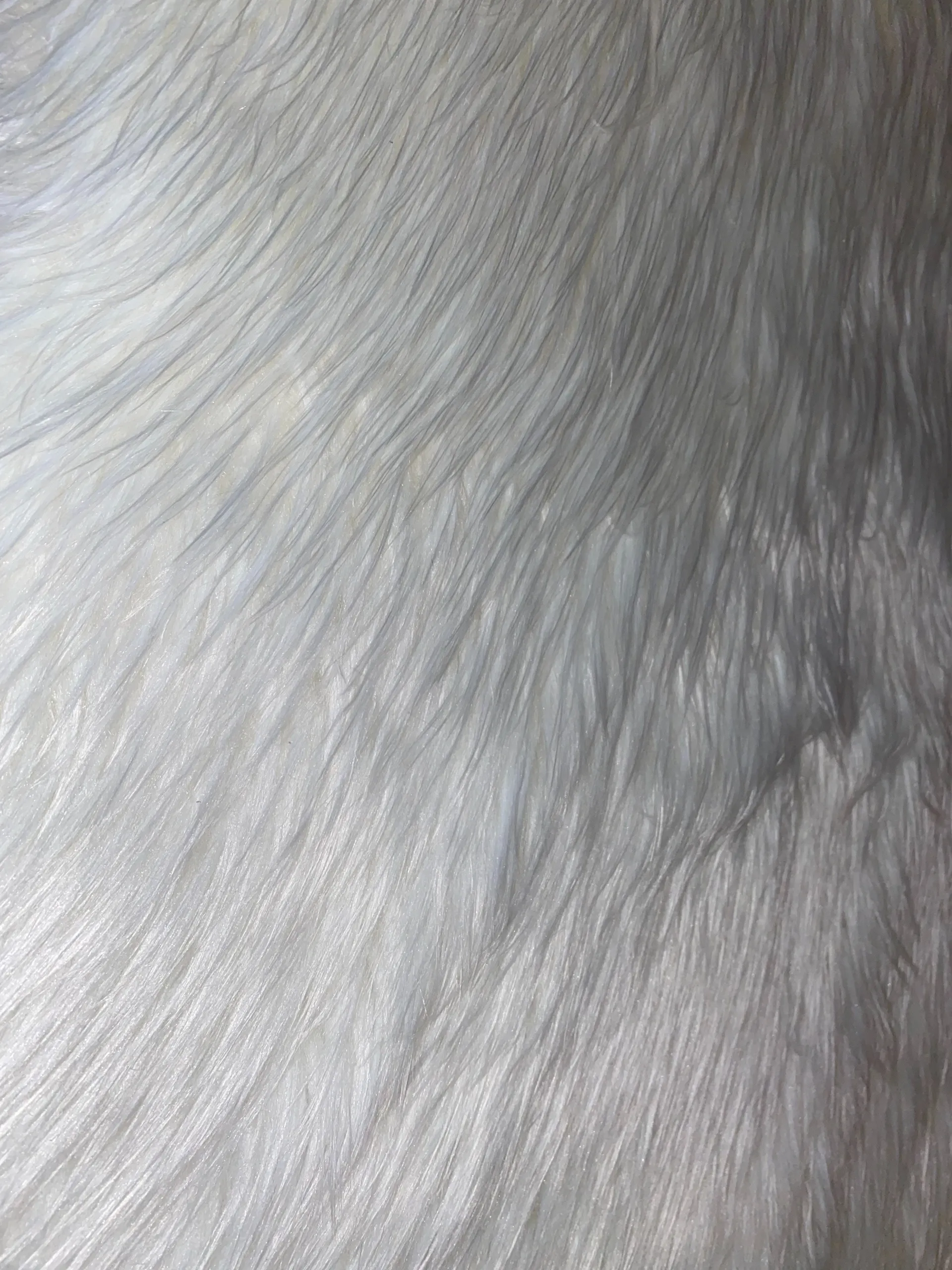 Venus Obsession OnlyFans header