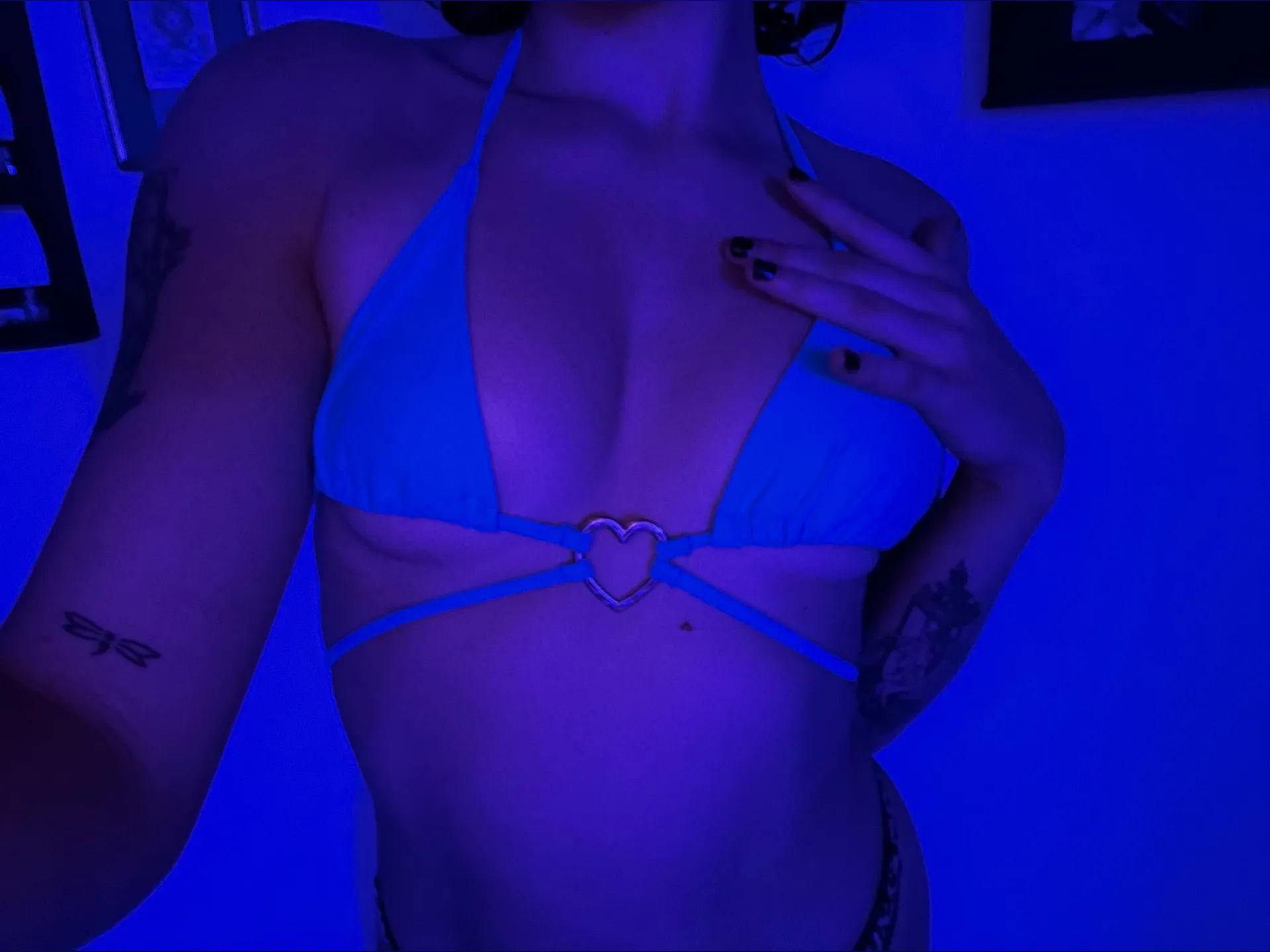 𝓥𝓮𝓷𝓾𝓼 𝓕𝓵𝔂𝓽𝓻𝓪𝓹𝓹