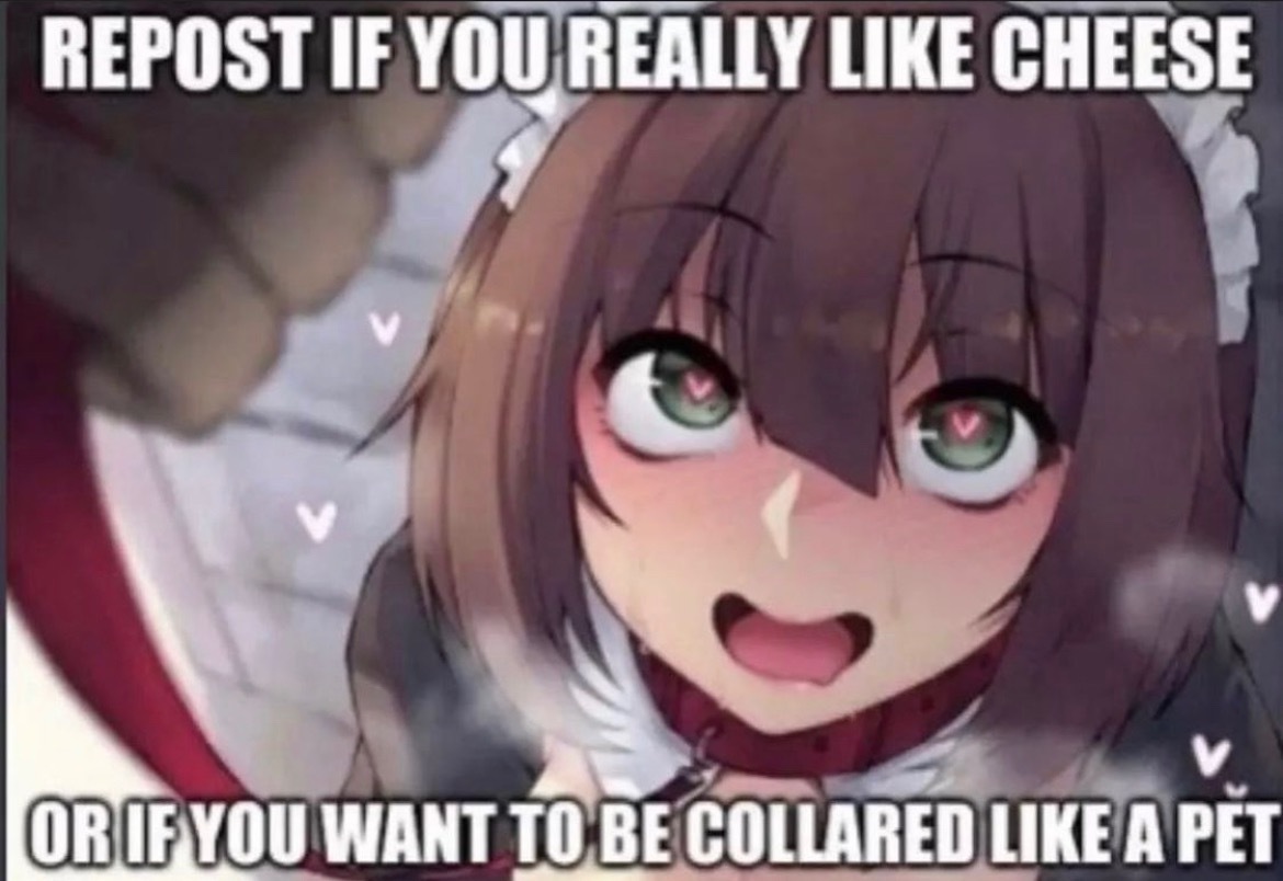 Venus OnlyFans header