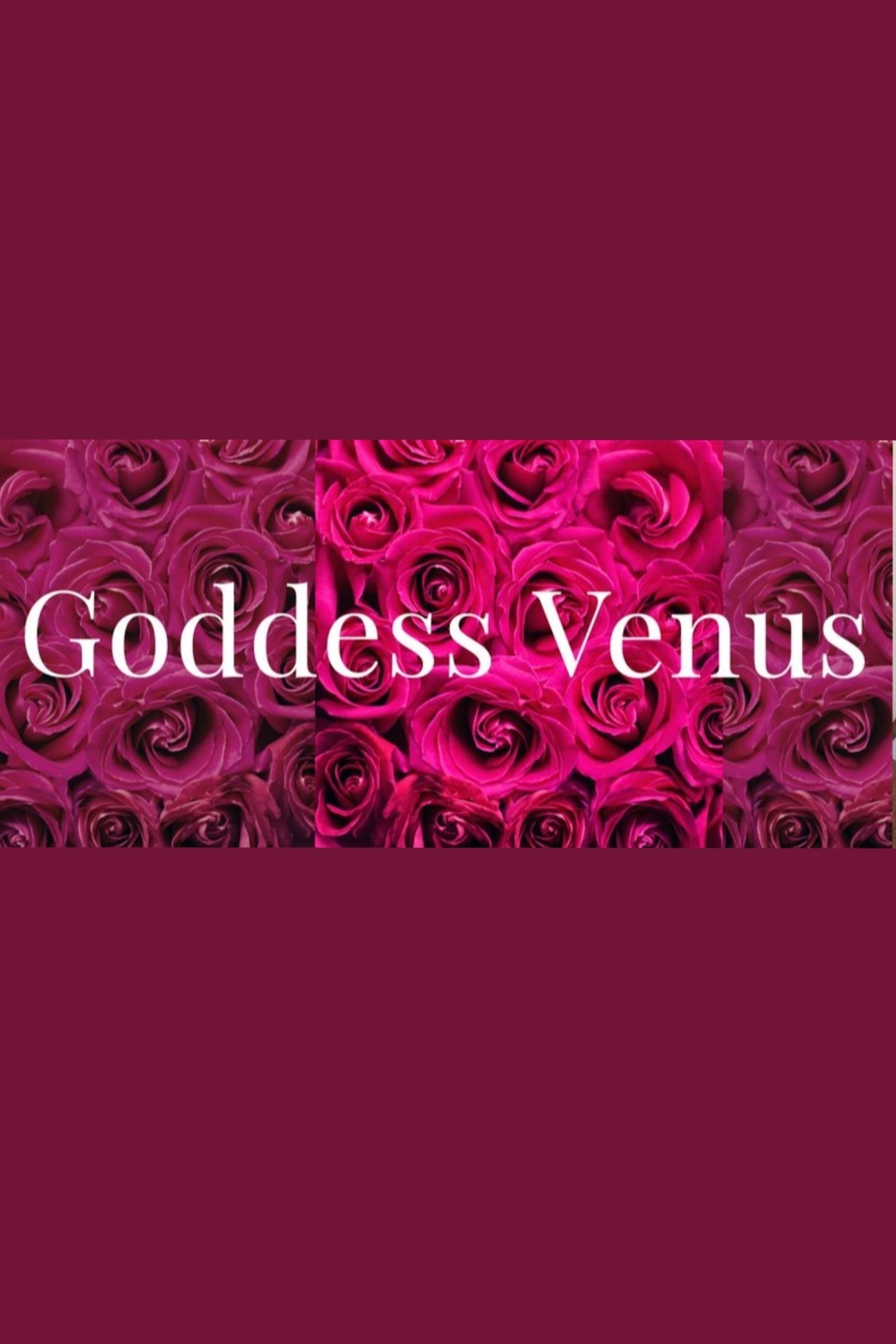 Venus🦋 OnlyFans header