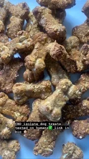 Venus OnlyFans header