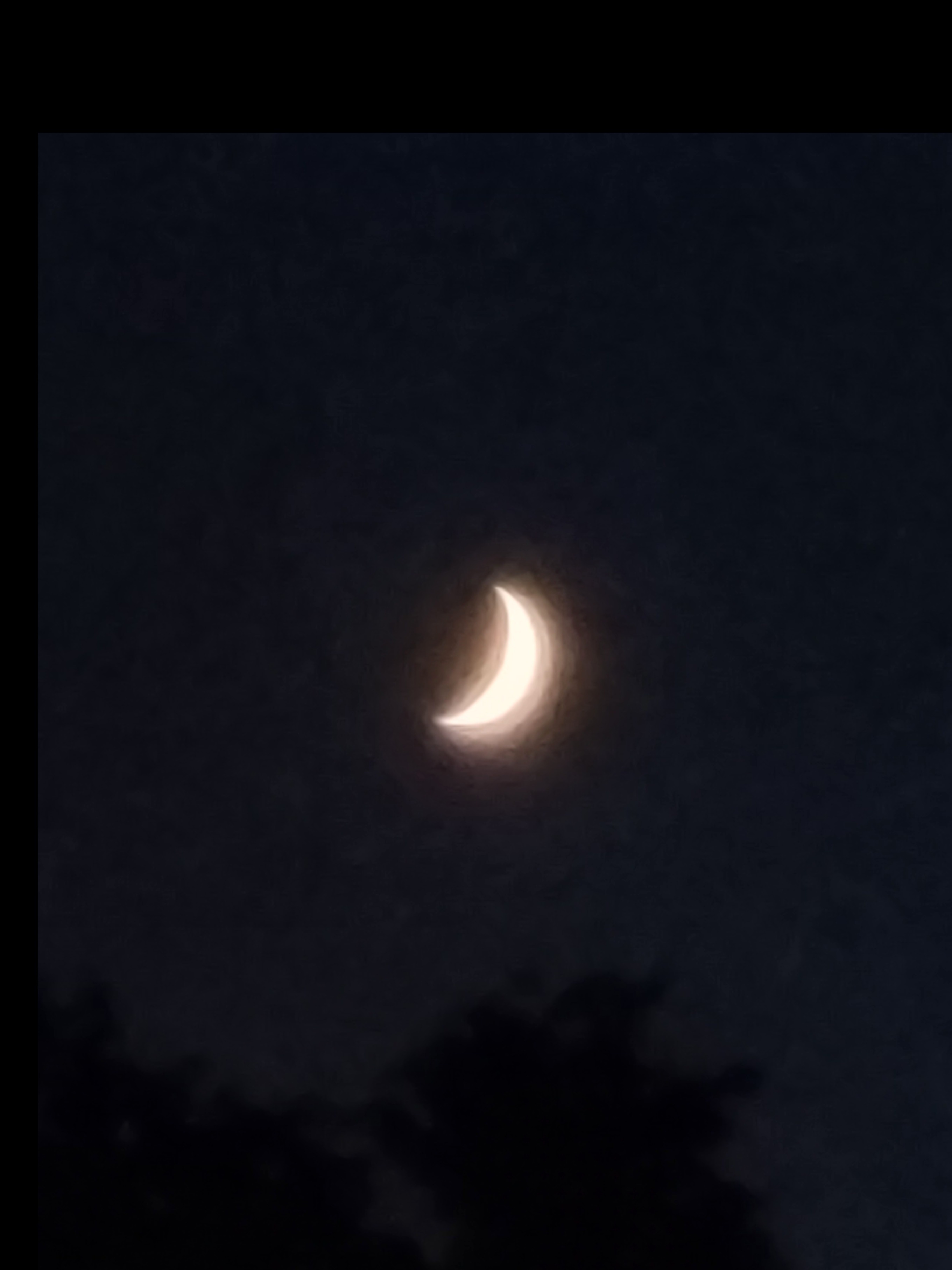 Venus the fly trap OnlyFans header