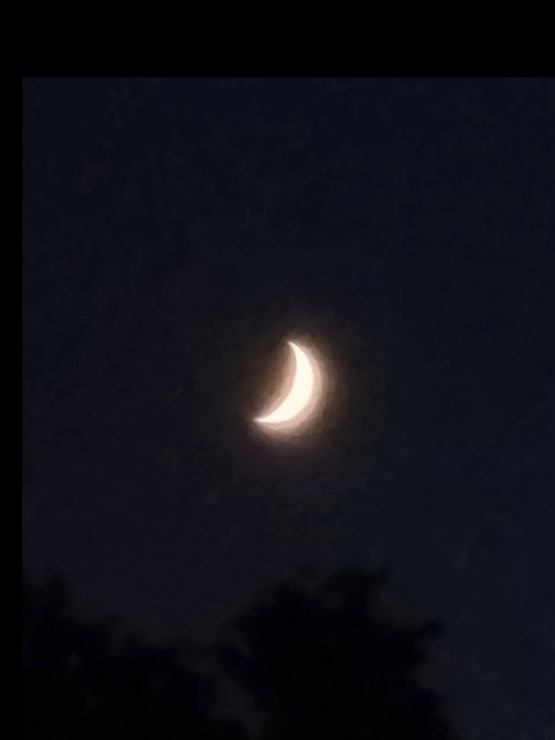 Venus the fly trap OnlyFans header