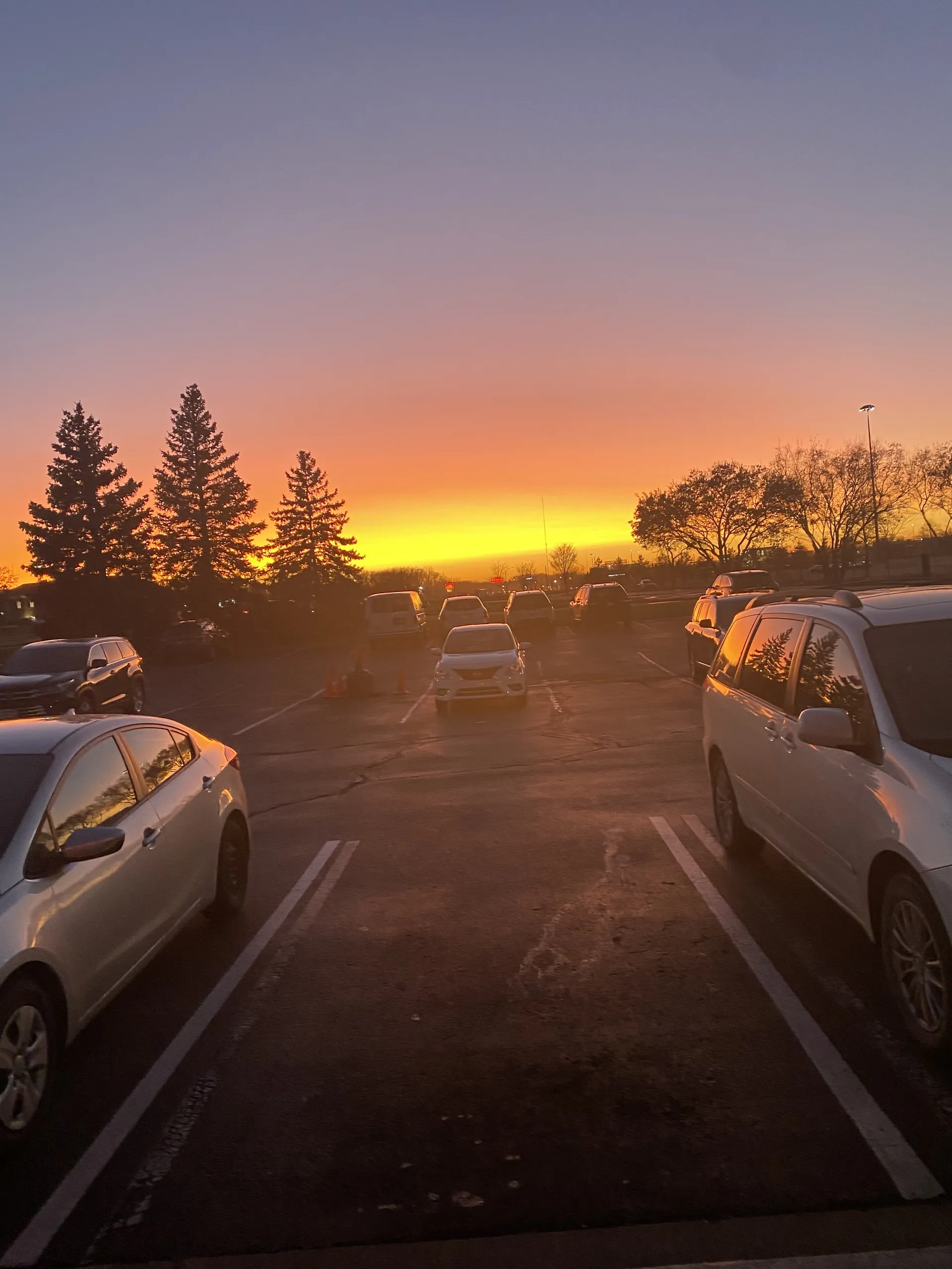 🍑  🎀  𝒱𝑒𝓃𝓊𝓈  🎀  🍑 OnlyFans header