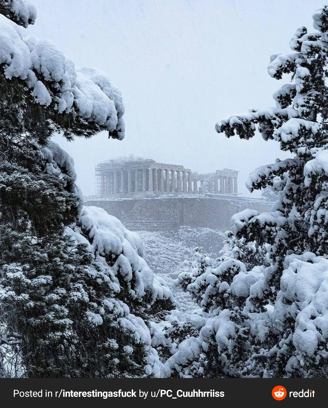 Venus OnlyFans header