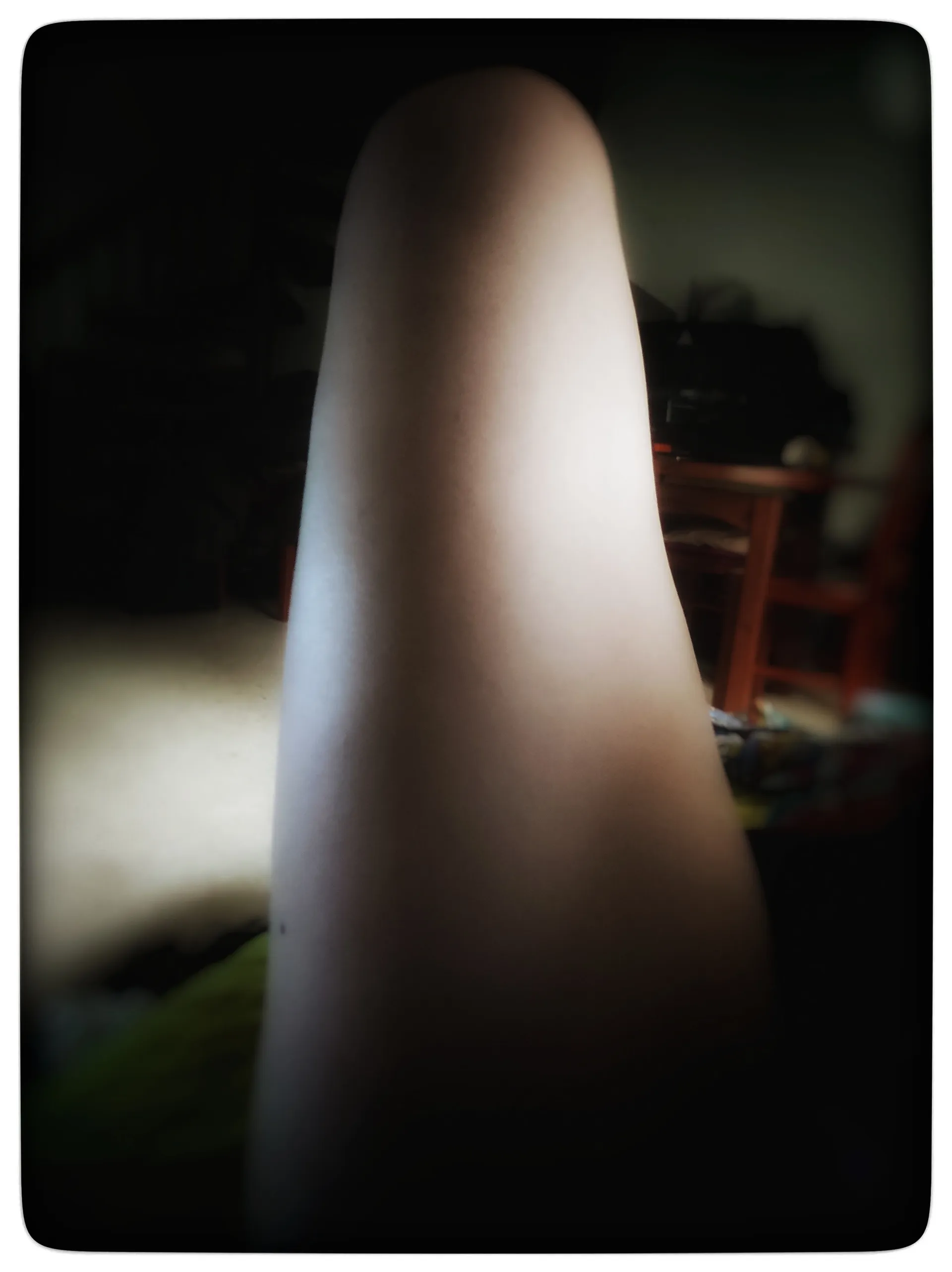 Vera Onehalf OnlyFans header