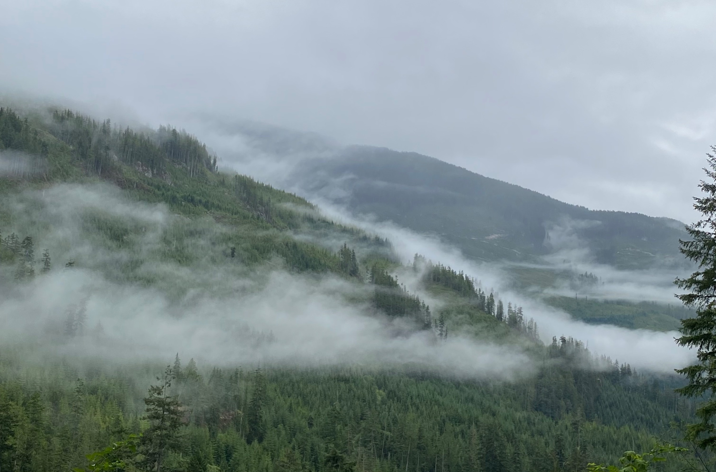 Vera Sinn OnlyFans header