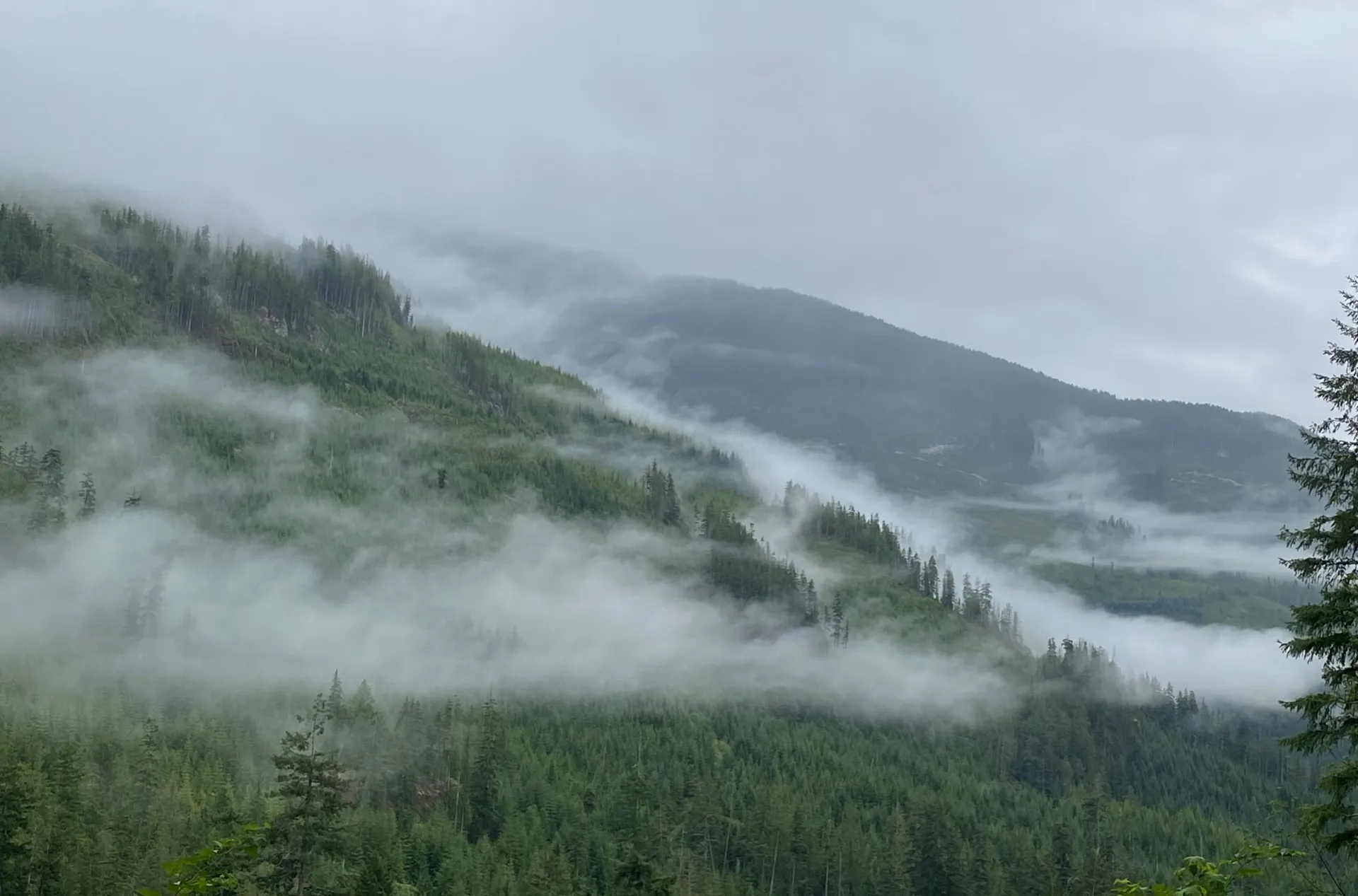 Vera Sinn OnlyFans header