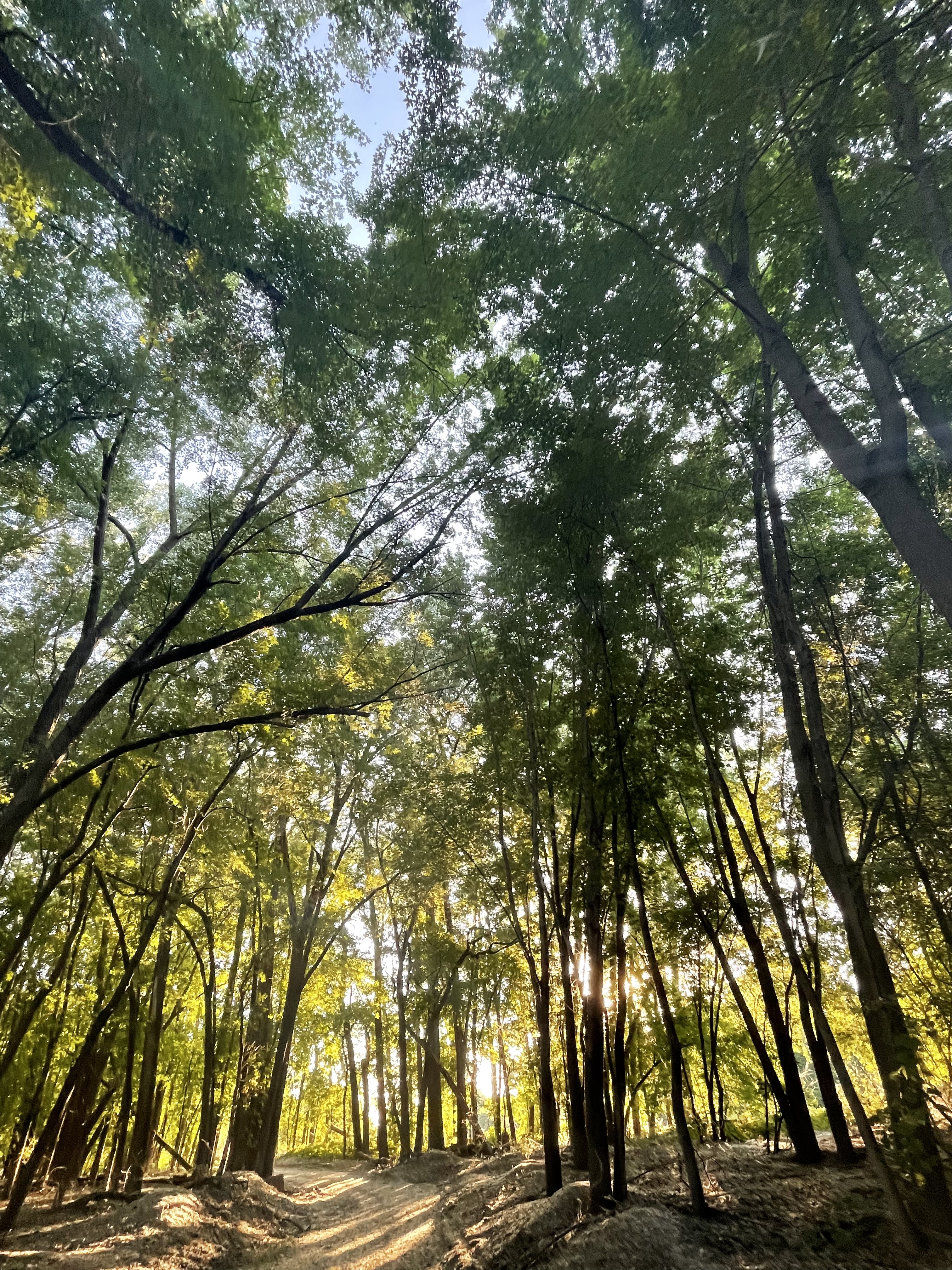 Vera KitKat OnlyFans header