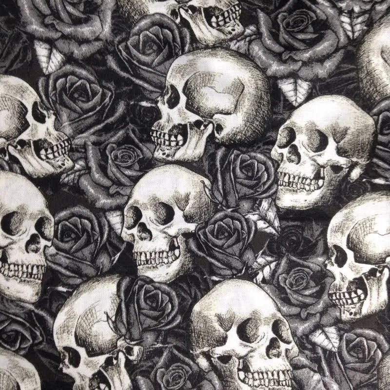 Vera Lo OnlyFans header