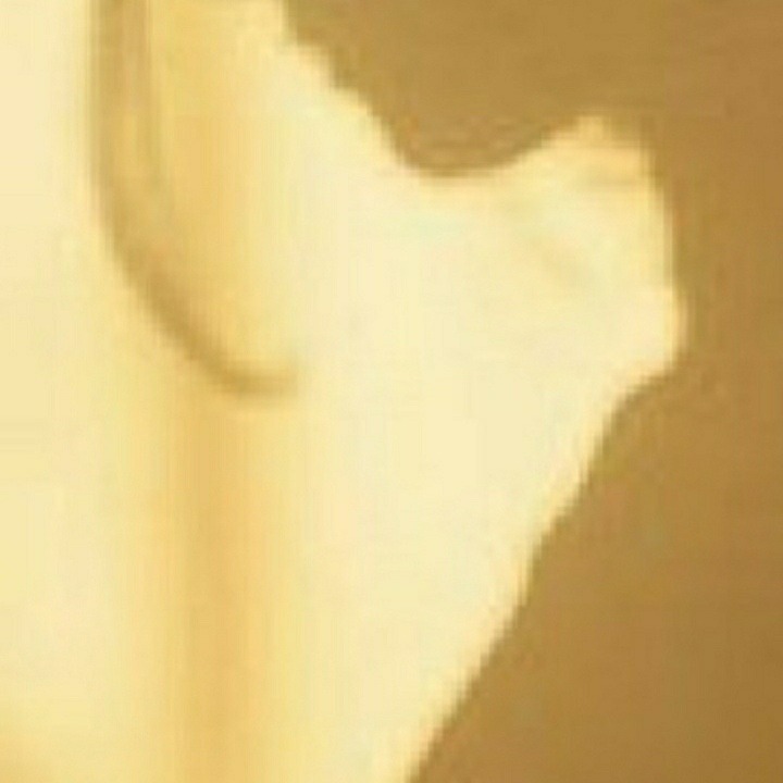 Verenise OnlyFans header