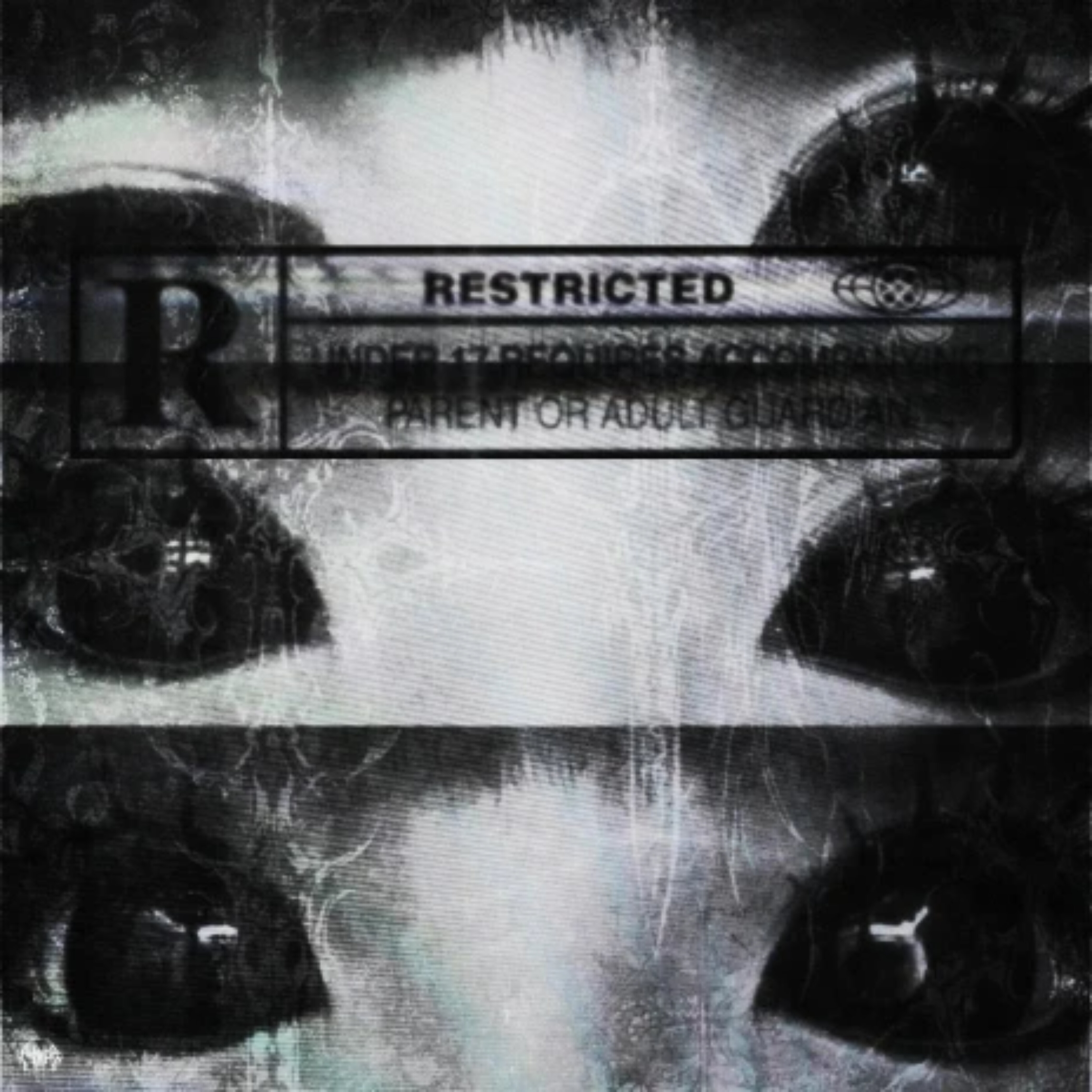 verification OnlyFans