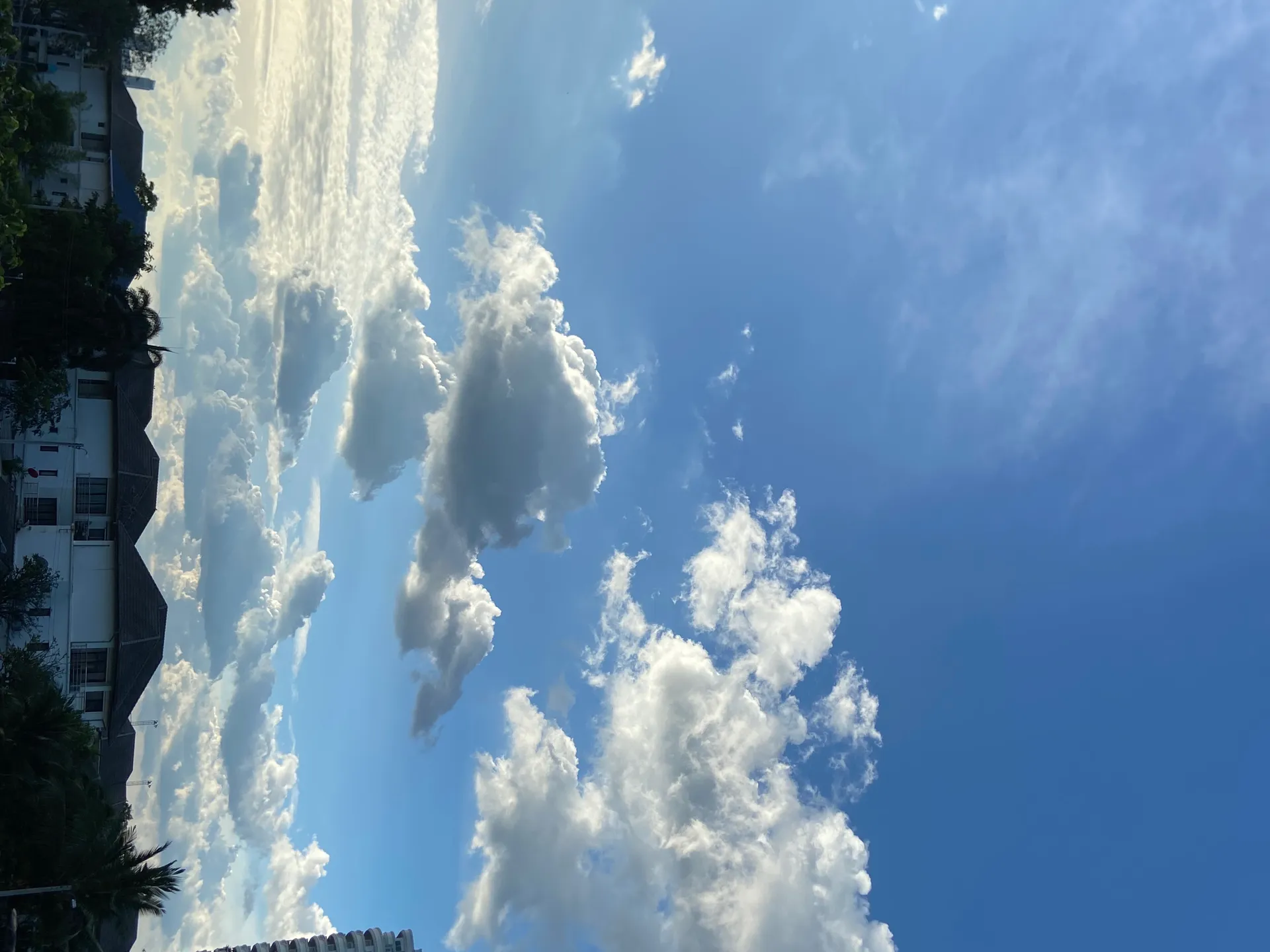 Harper🖤✨ OnlyFans header