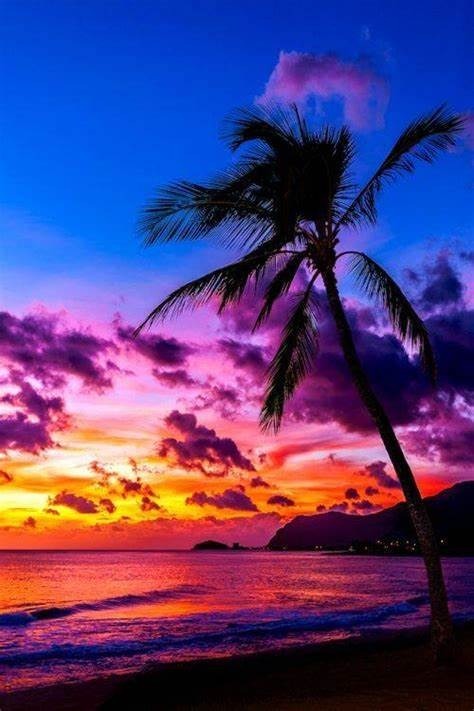 Vero y Andrew OnlyFans header