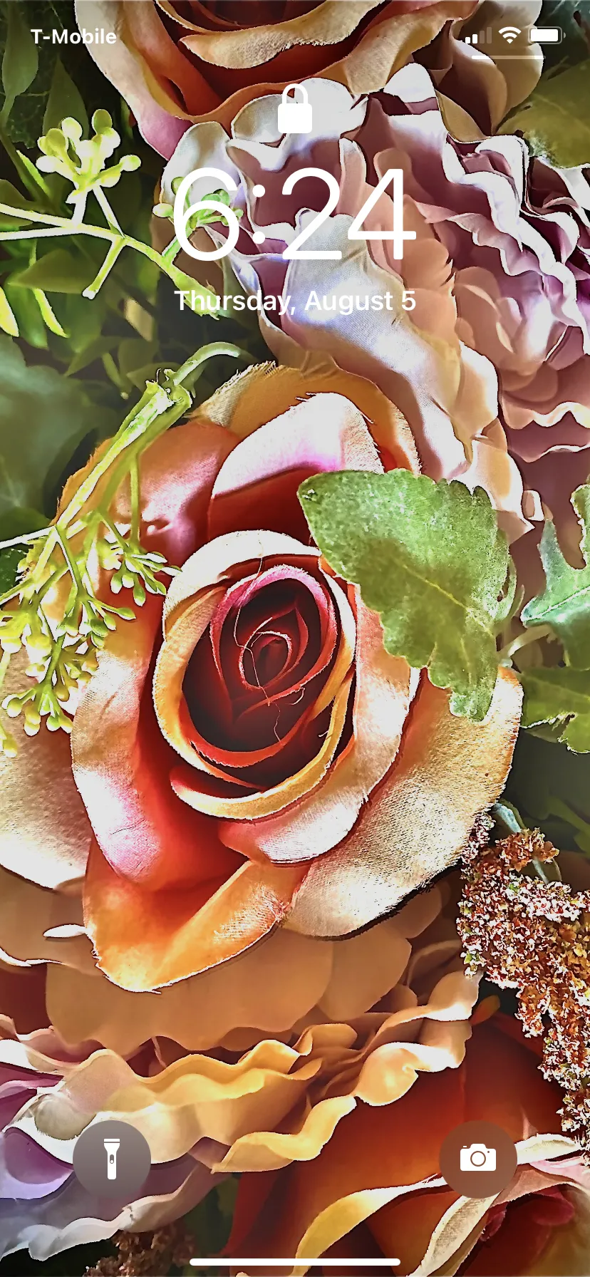 Veronica Lane OnlyFans header