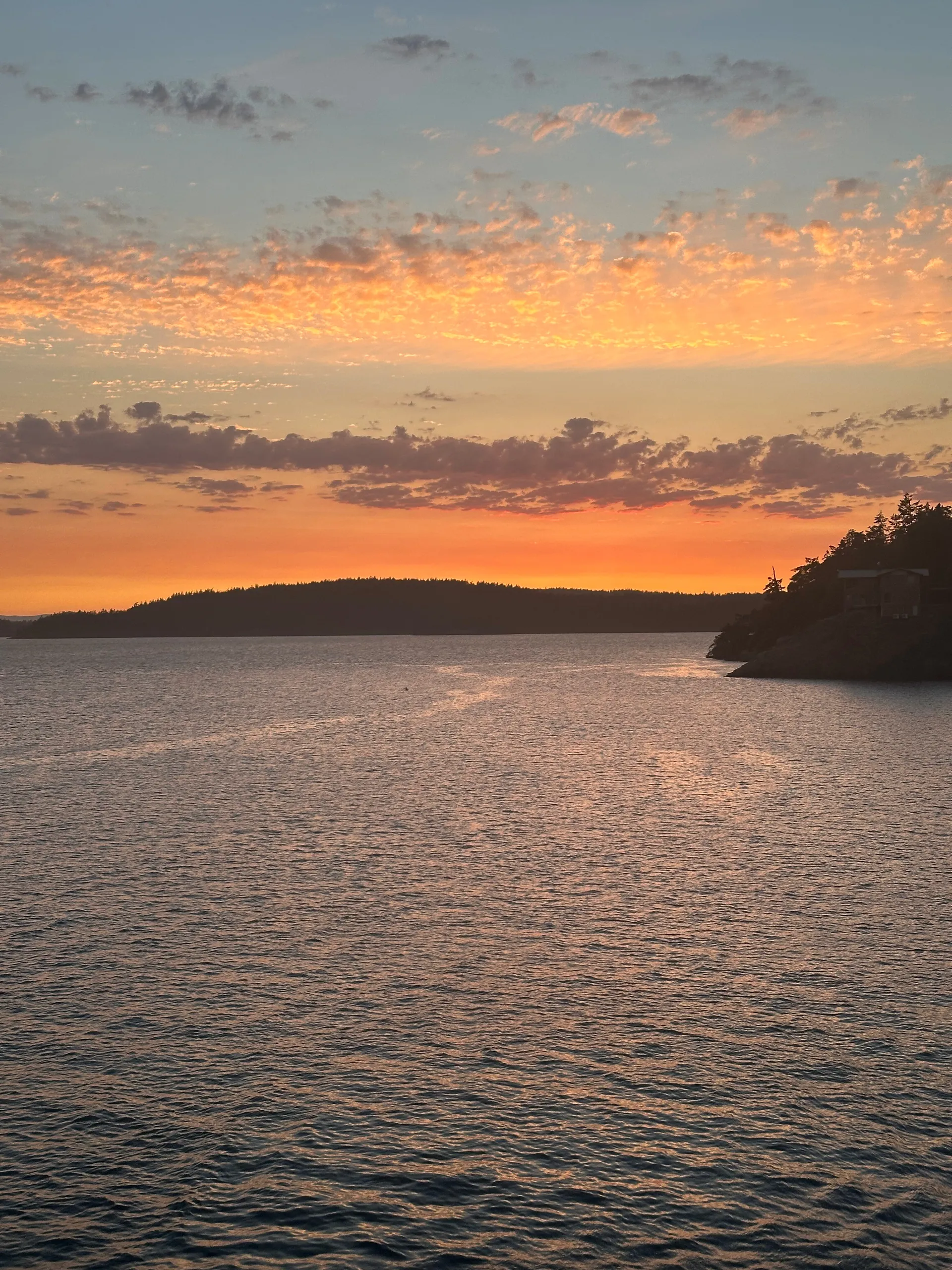 Veronica Blonde OnlyFans header