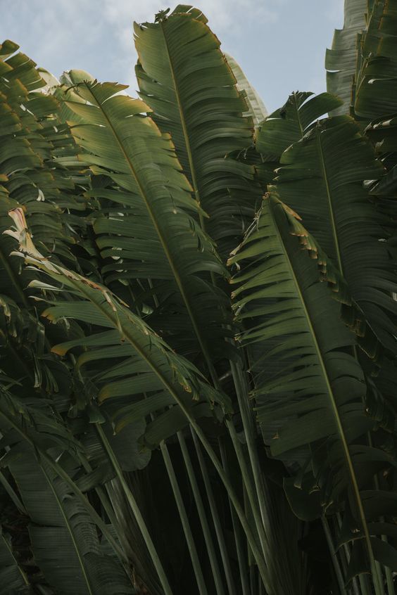 Veronica Garcia OnlyFans header