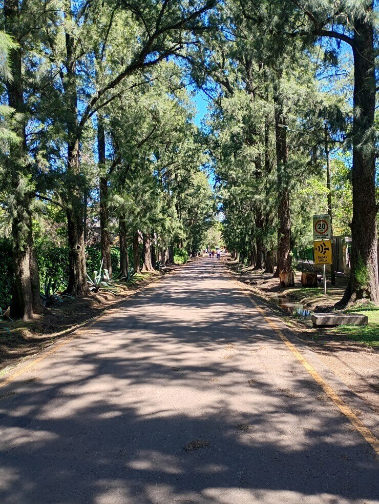 Verónica Lambert OnlyFans header