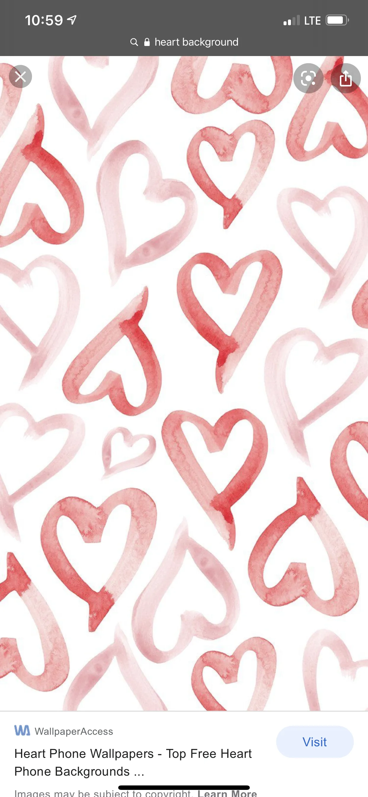 Veronica OnlyFans header