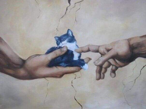 Veronica May OnlyFans header