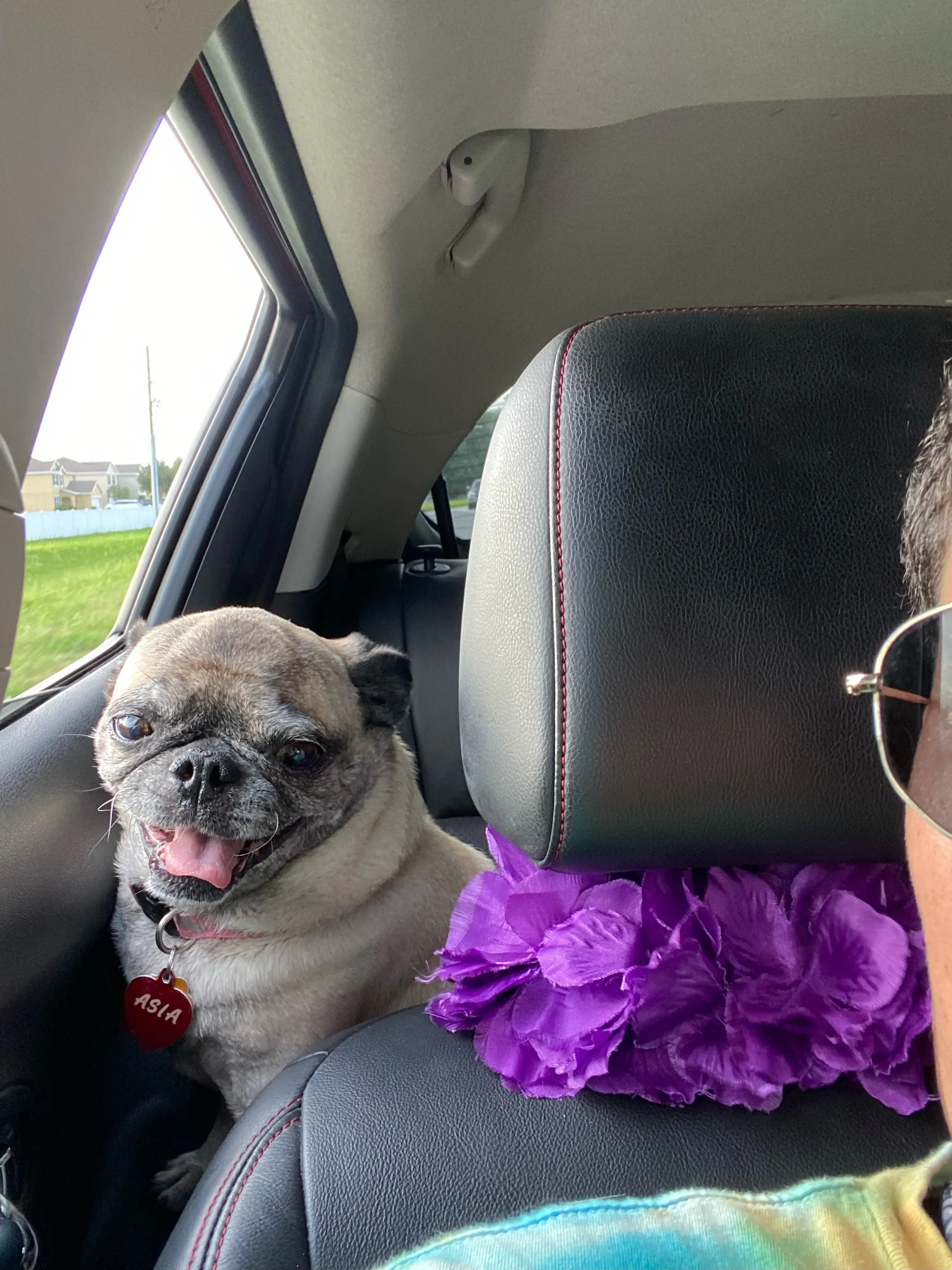 Veronica OnlyFans header