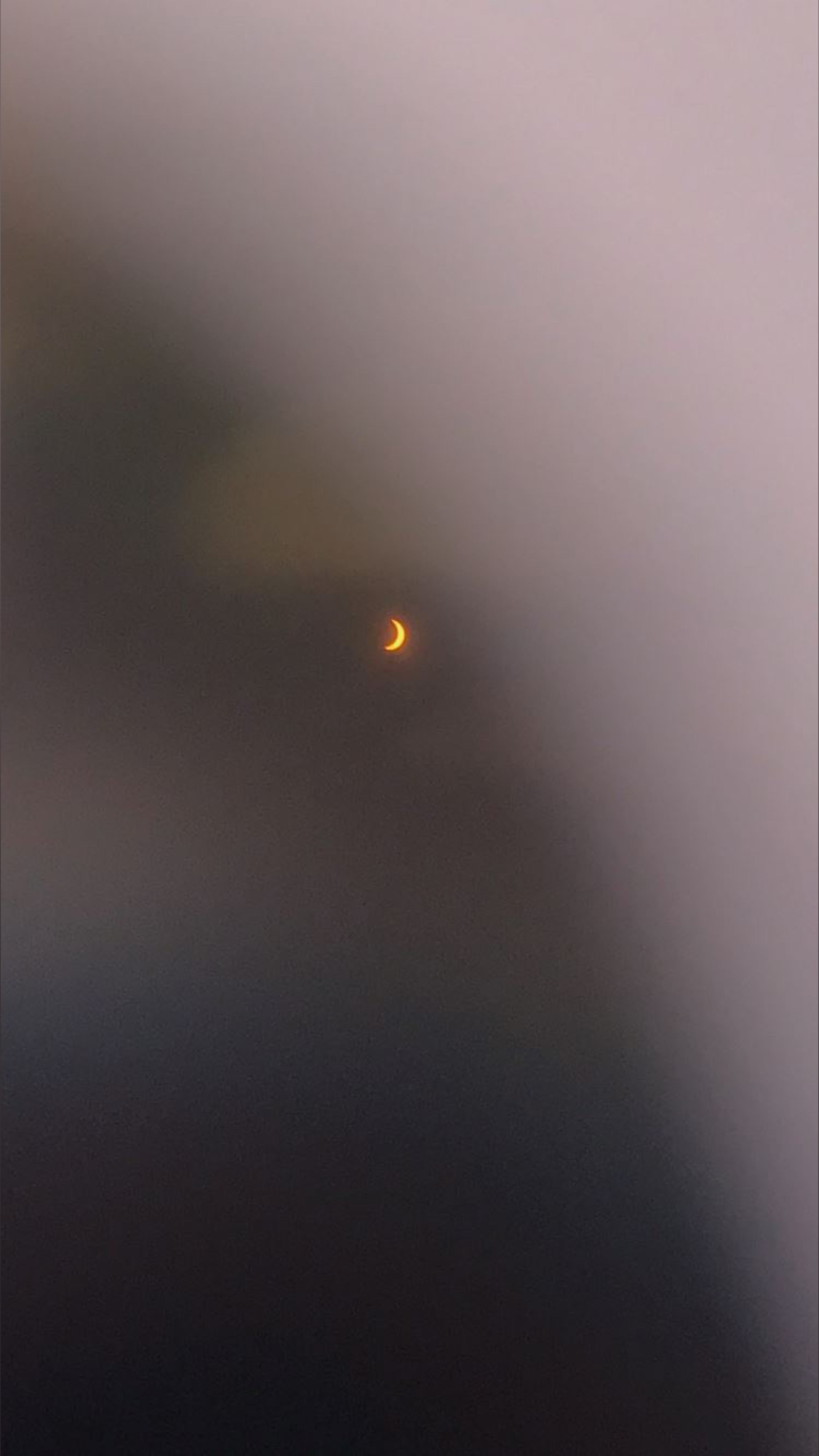 Veronica OnlyFans header