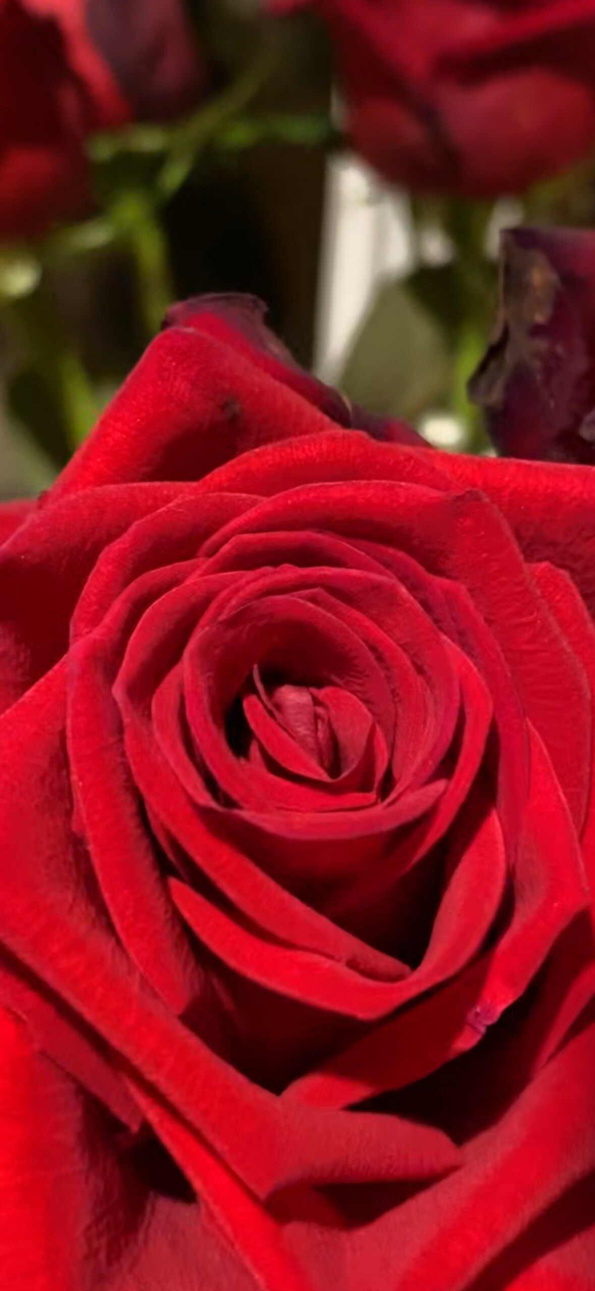 Veronica Weston OnlyFans header