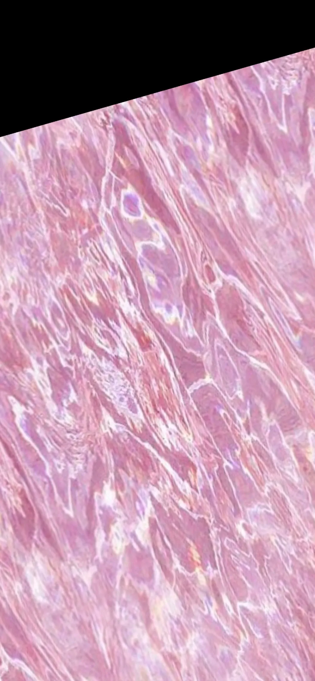 Veronica OnlyFans header