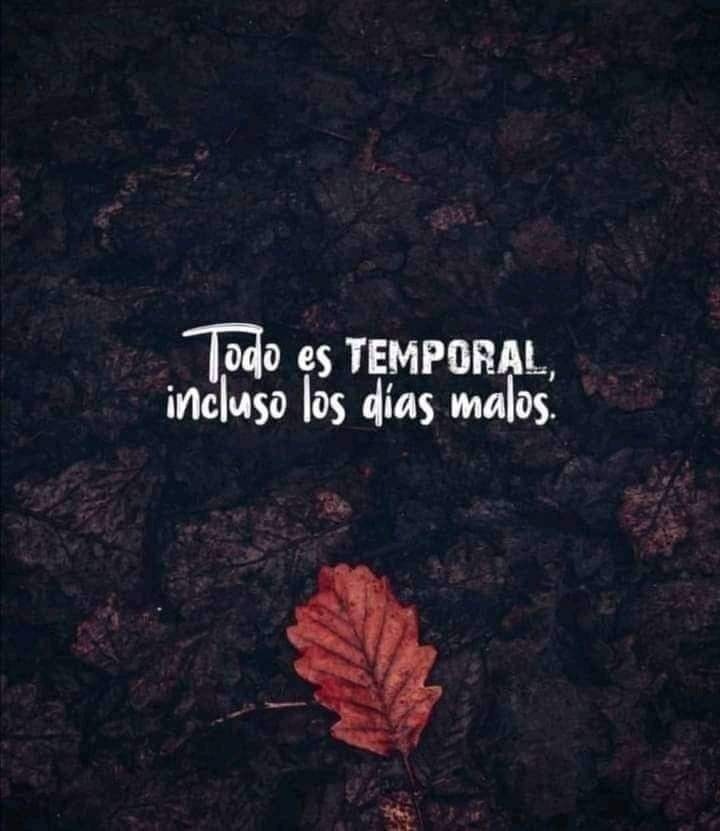 Veronica Gil OnlyFans header