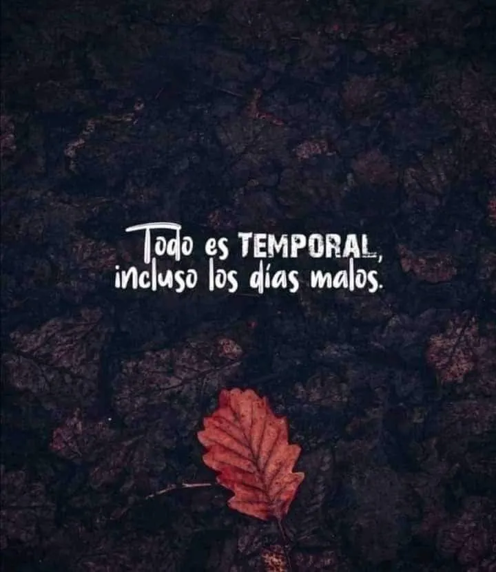 Veronica Gil OnlyFans header