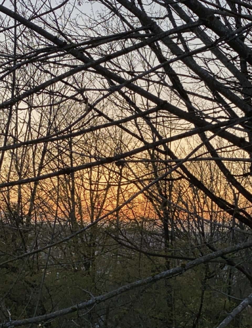 Vers Guy OnlyFans header