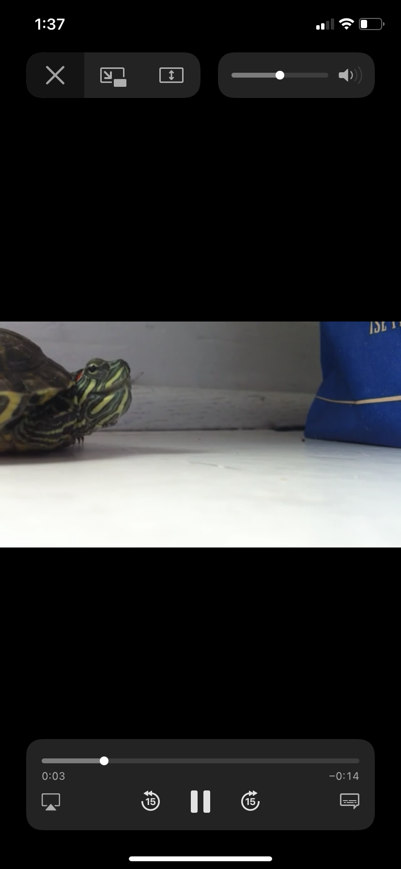 THOT POCKET OnlyFans header