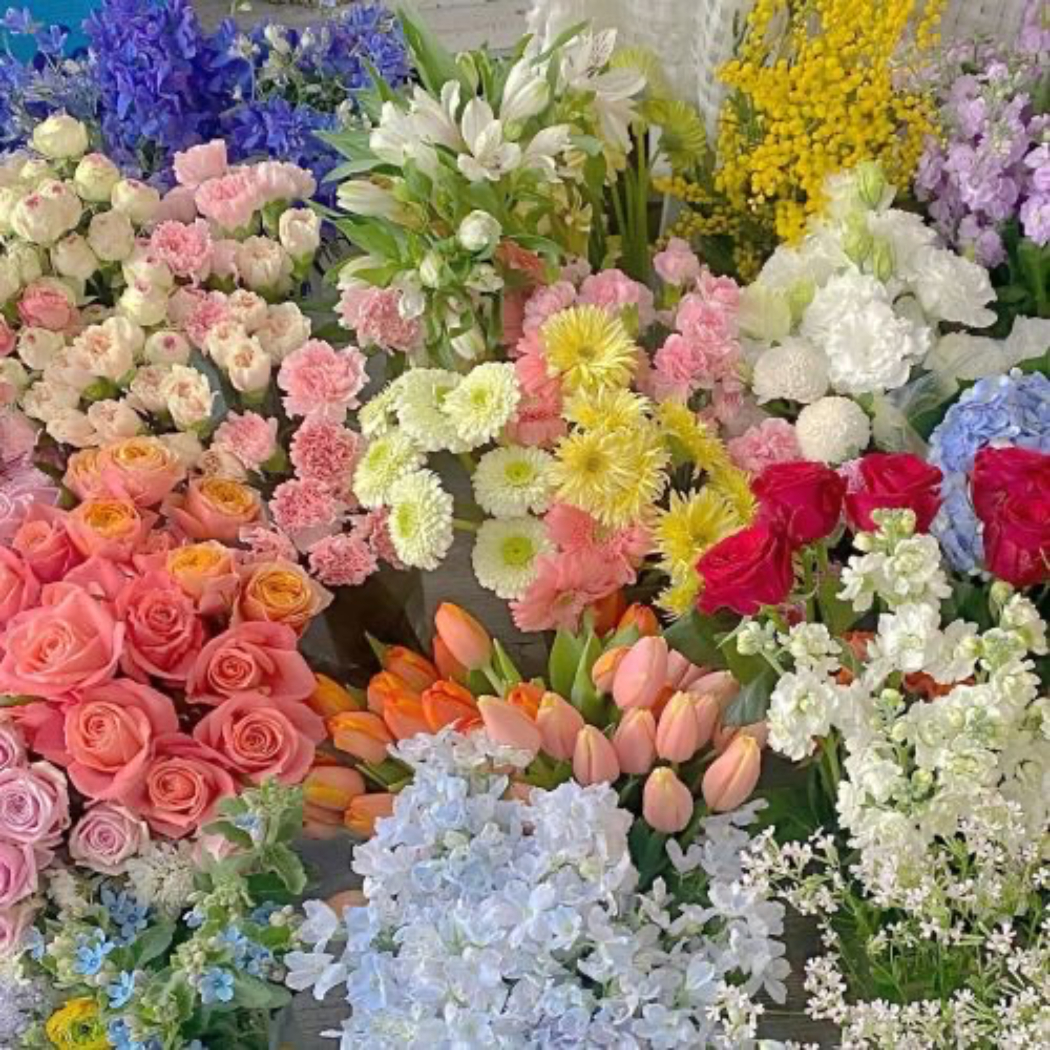 Versatty OnlyFans header