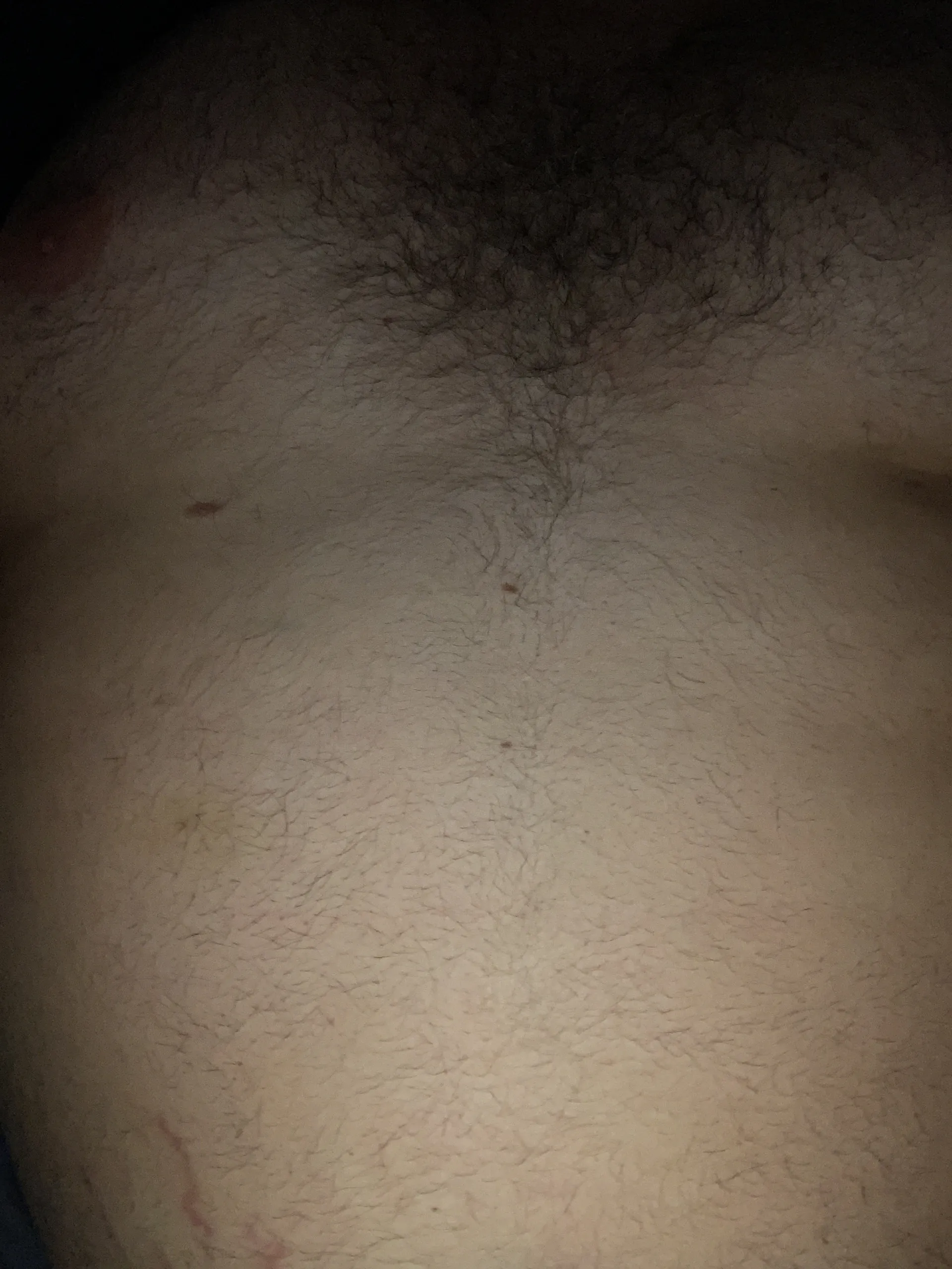 Vers bear OnlyFans header