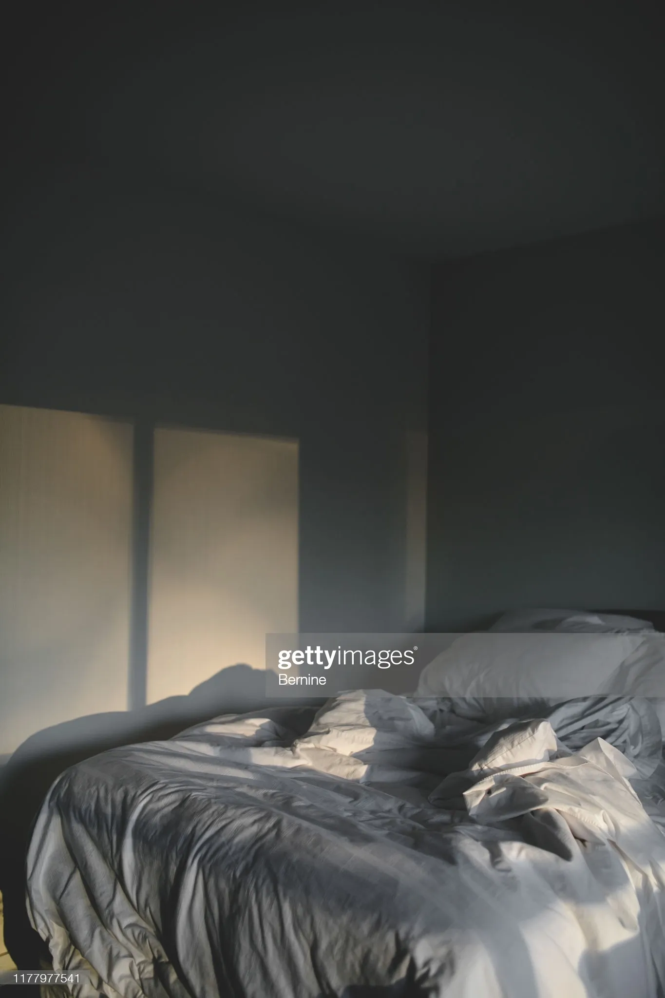 VersKing21 OnlyFans header