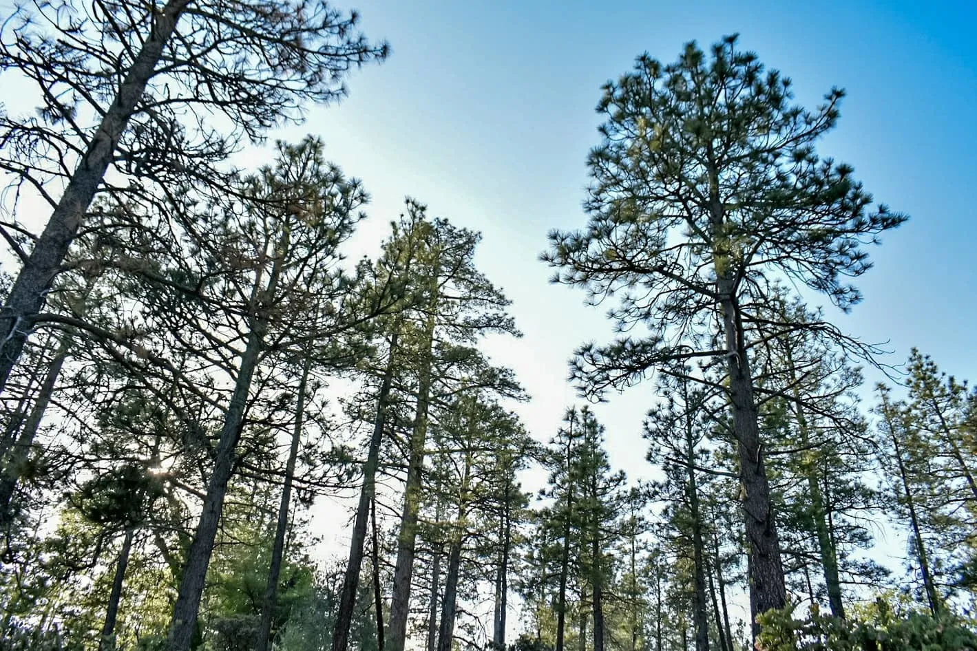 VersNerd OnlyFans header