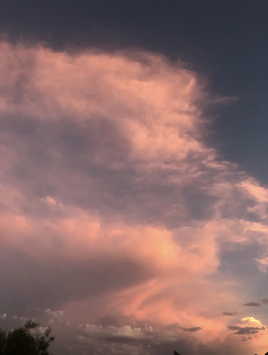 Veruka Sahlt OnlyFans header