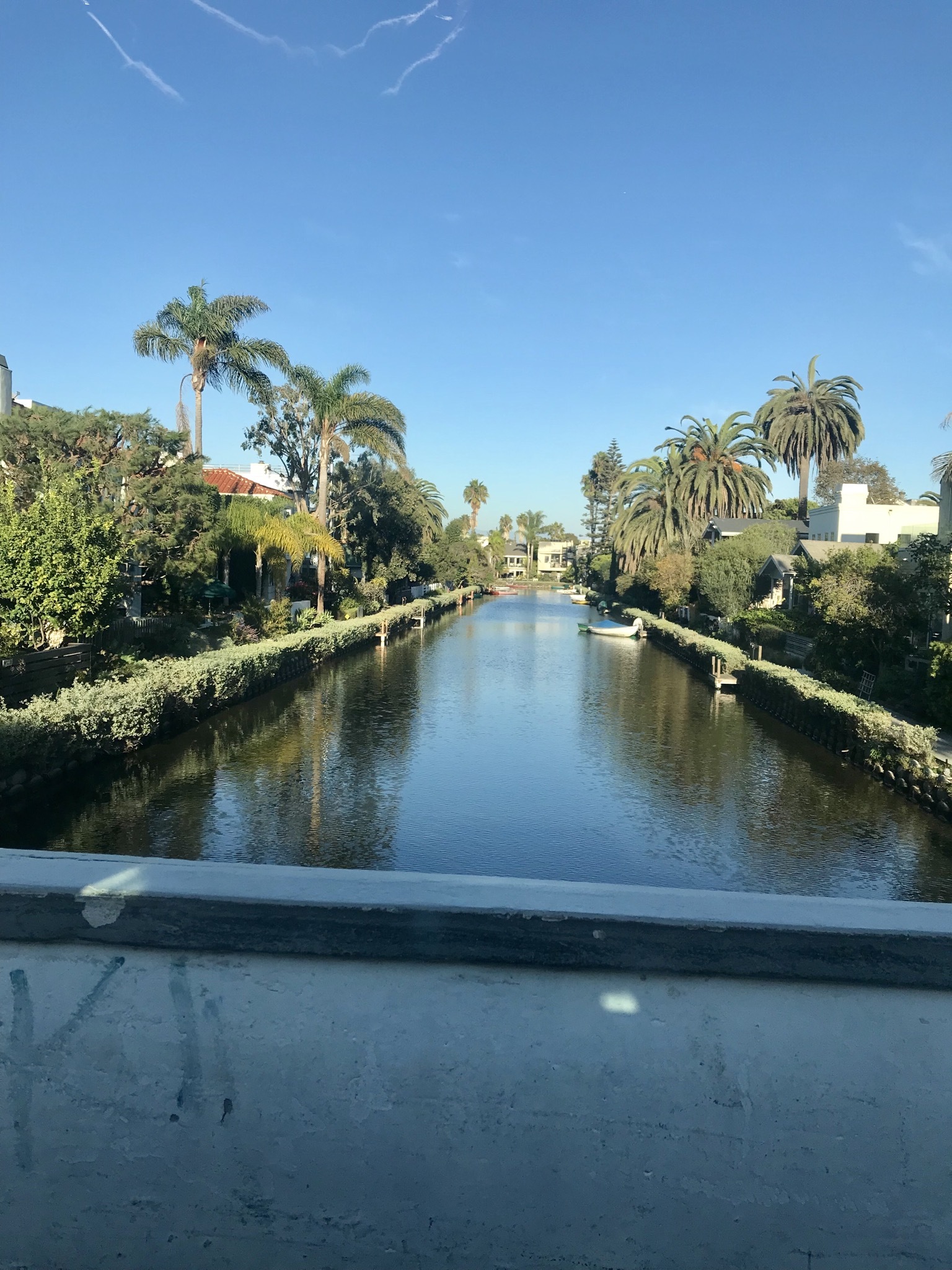 VeryReddit~ OnlyFans header