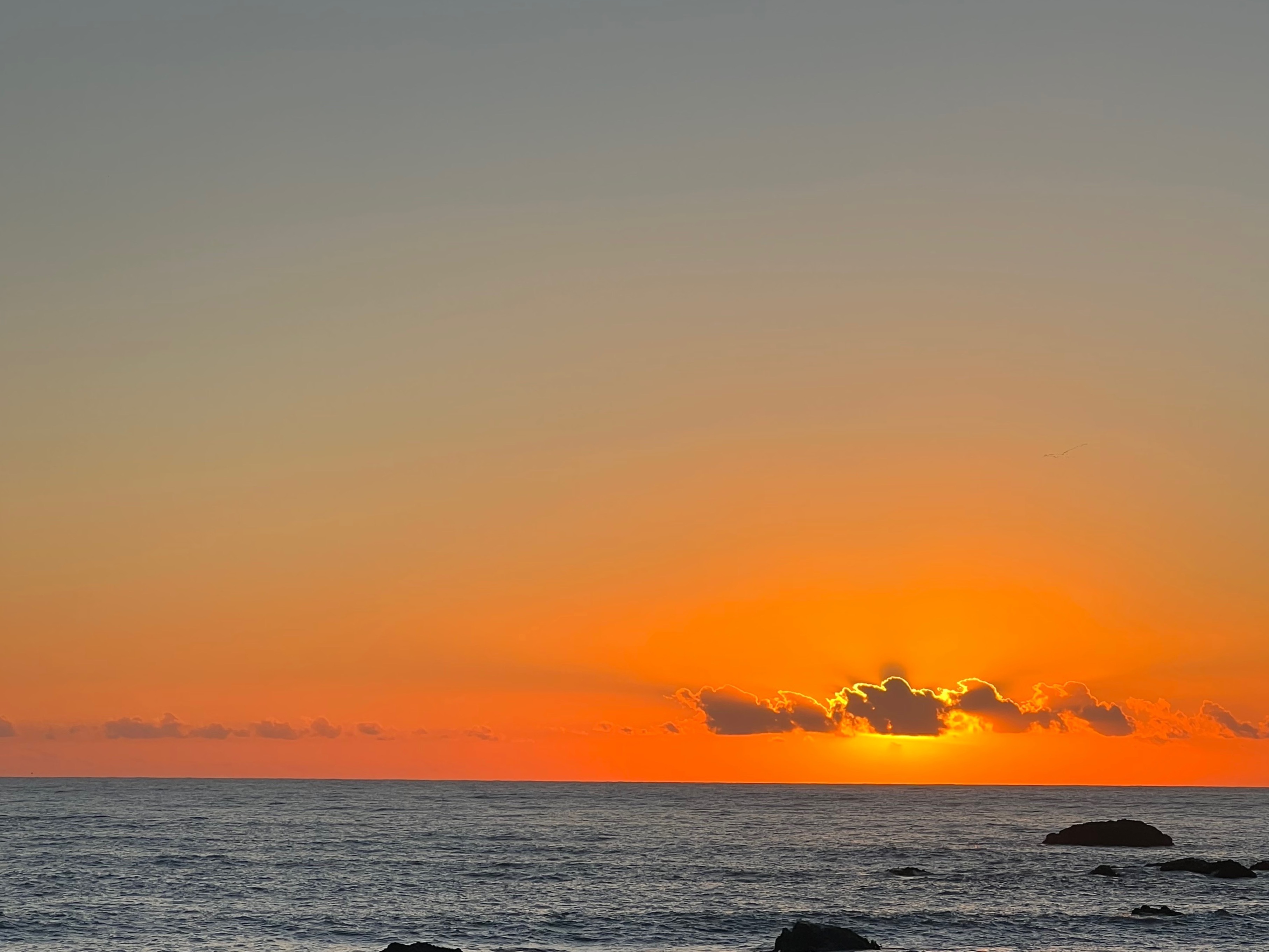 Vero&amp;Kurtis OnlyFans header