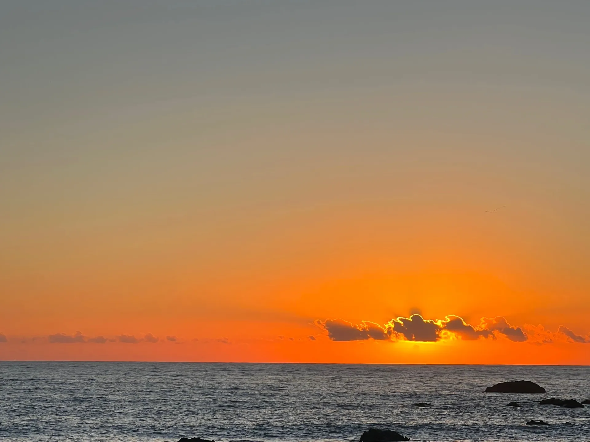 Vero&amp;Kurtis OnlyFans header