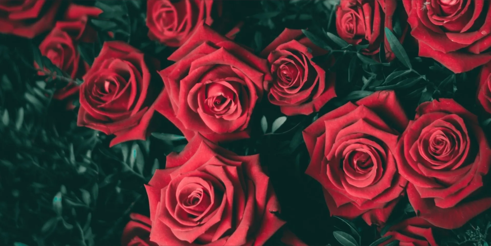 Vesa Vai OnlyFans header