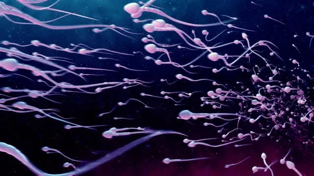 Vespa Driver🛵 OnlyFans header