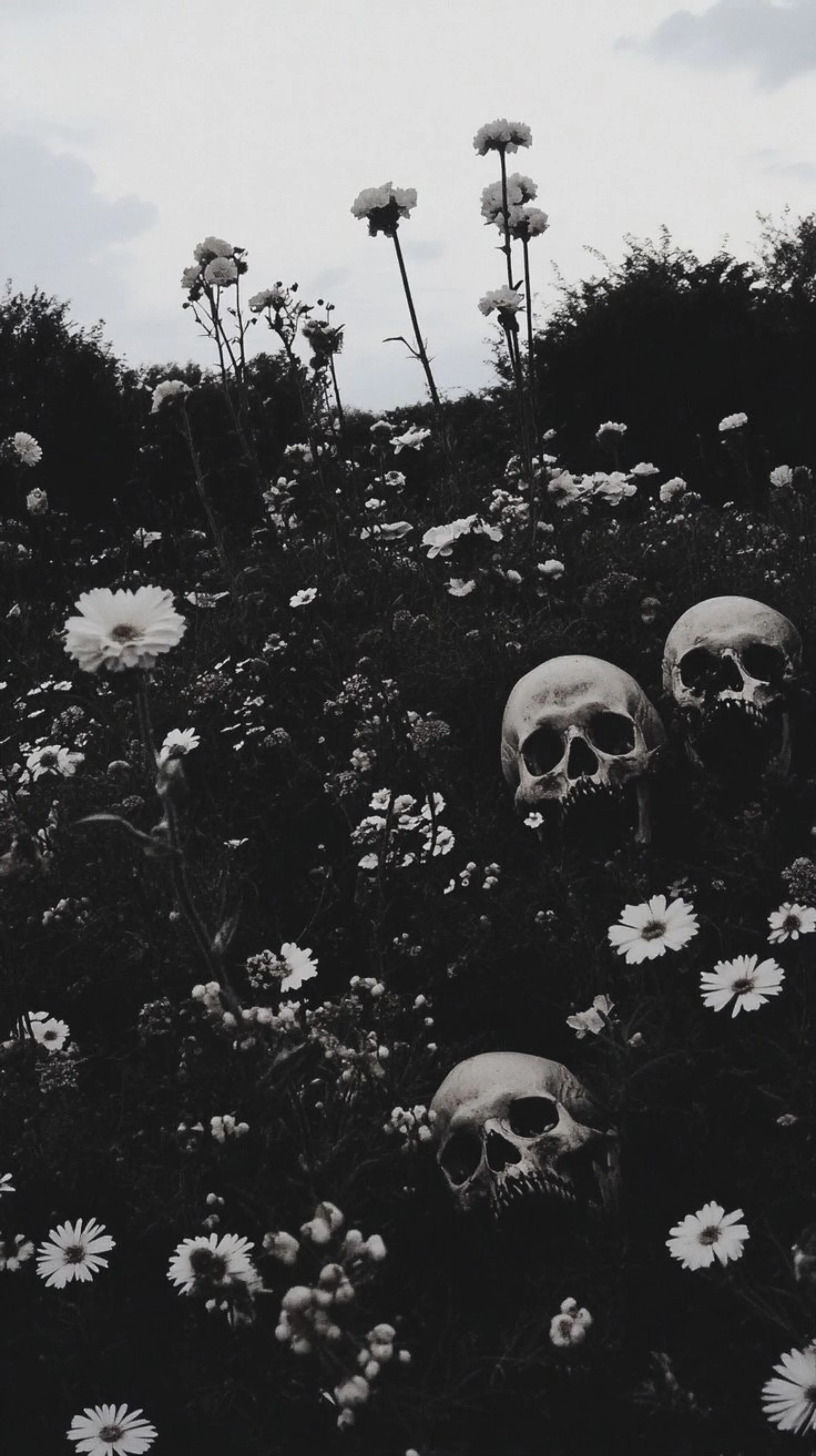 Vespertine cover