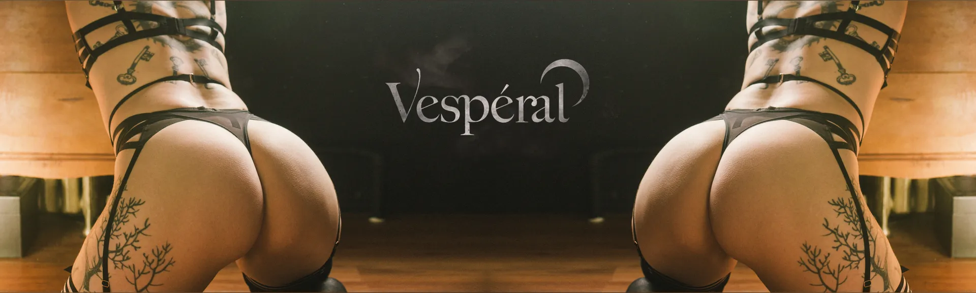 ✧₊ ‧ Ursinae Vespéral ‧₊˚✧ OnlyFans header