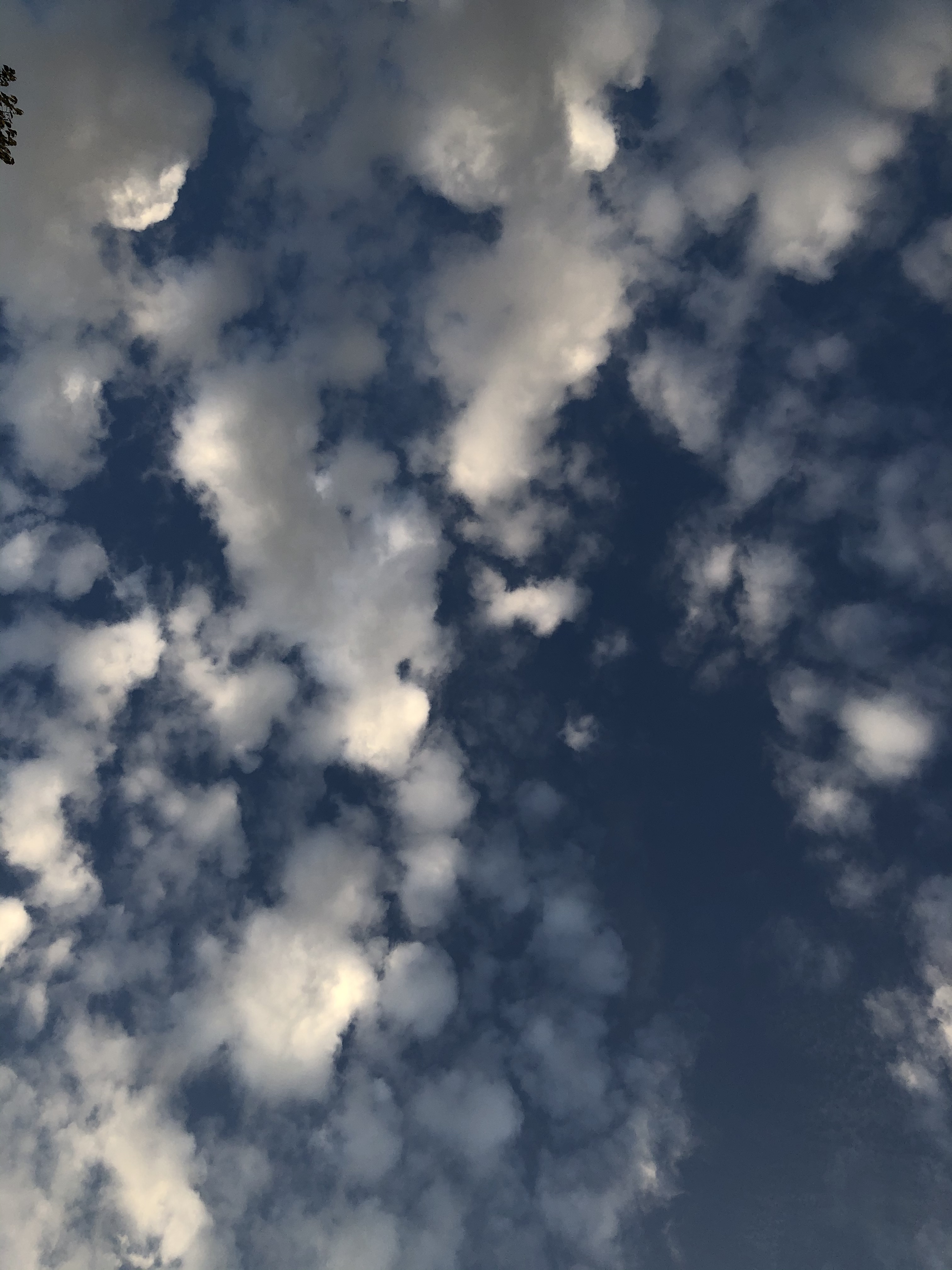 ✨💧✨ OnlyFans header