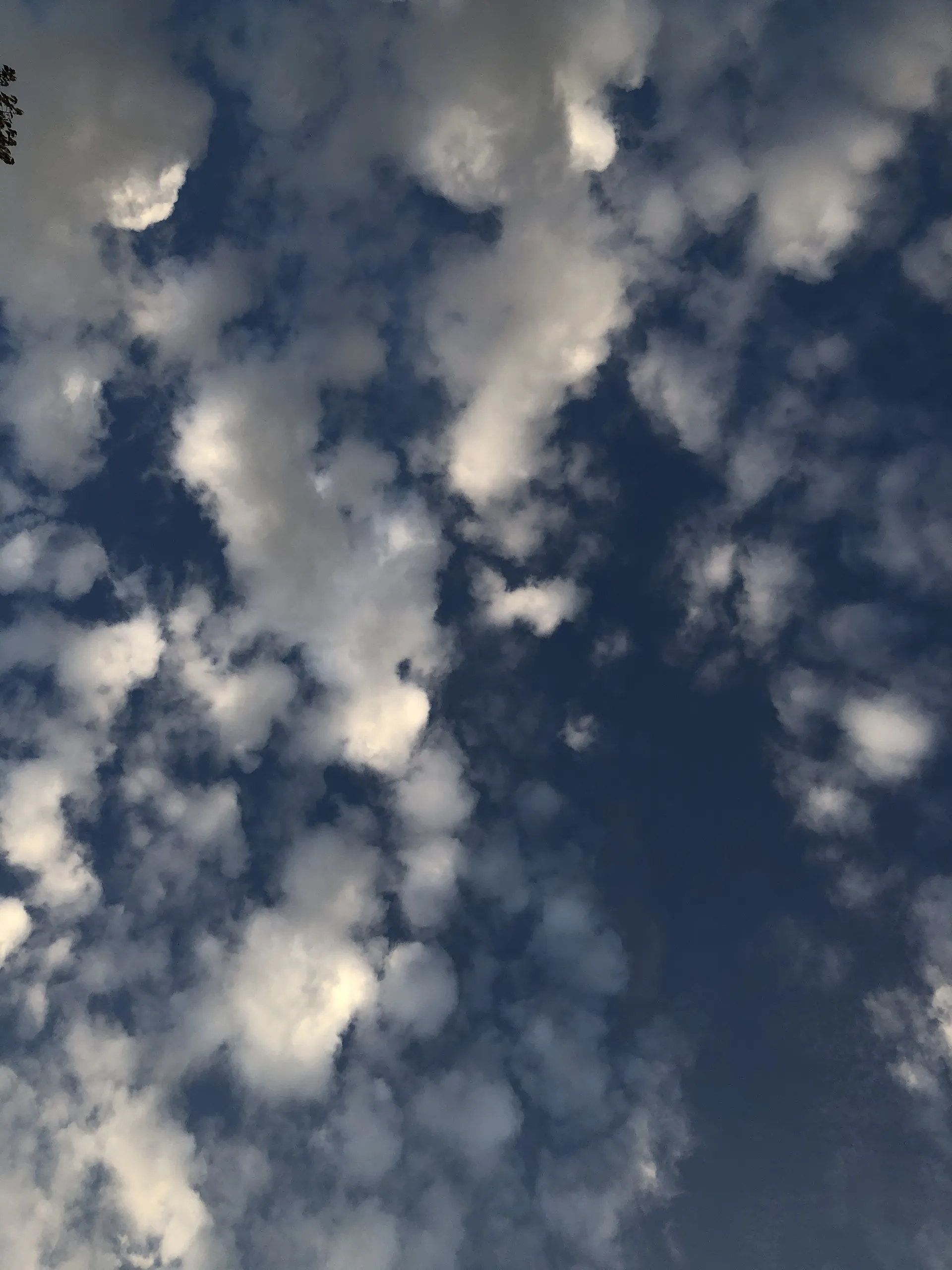 ✨💧✨ OnlyFans header