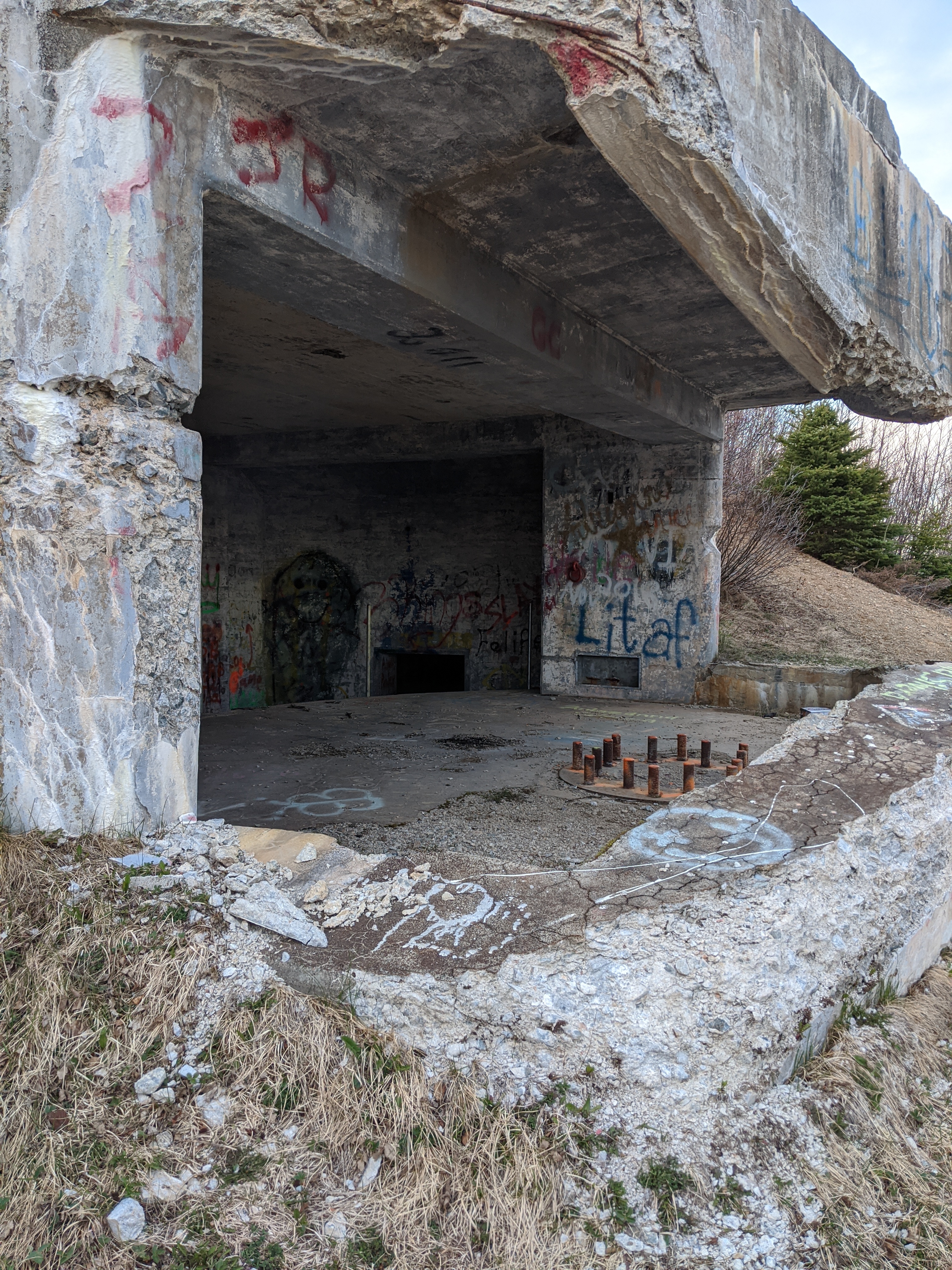 Vexus Xenos OnlyFans header