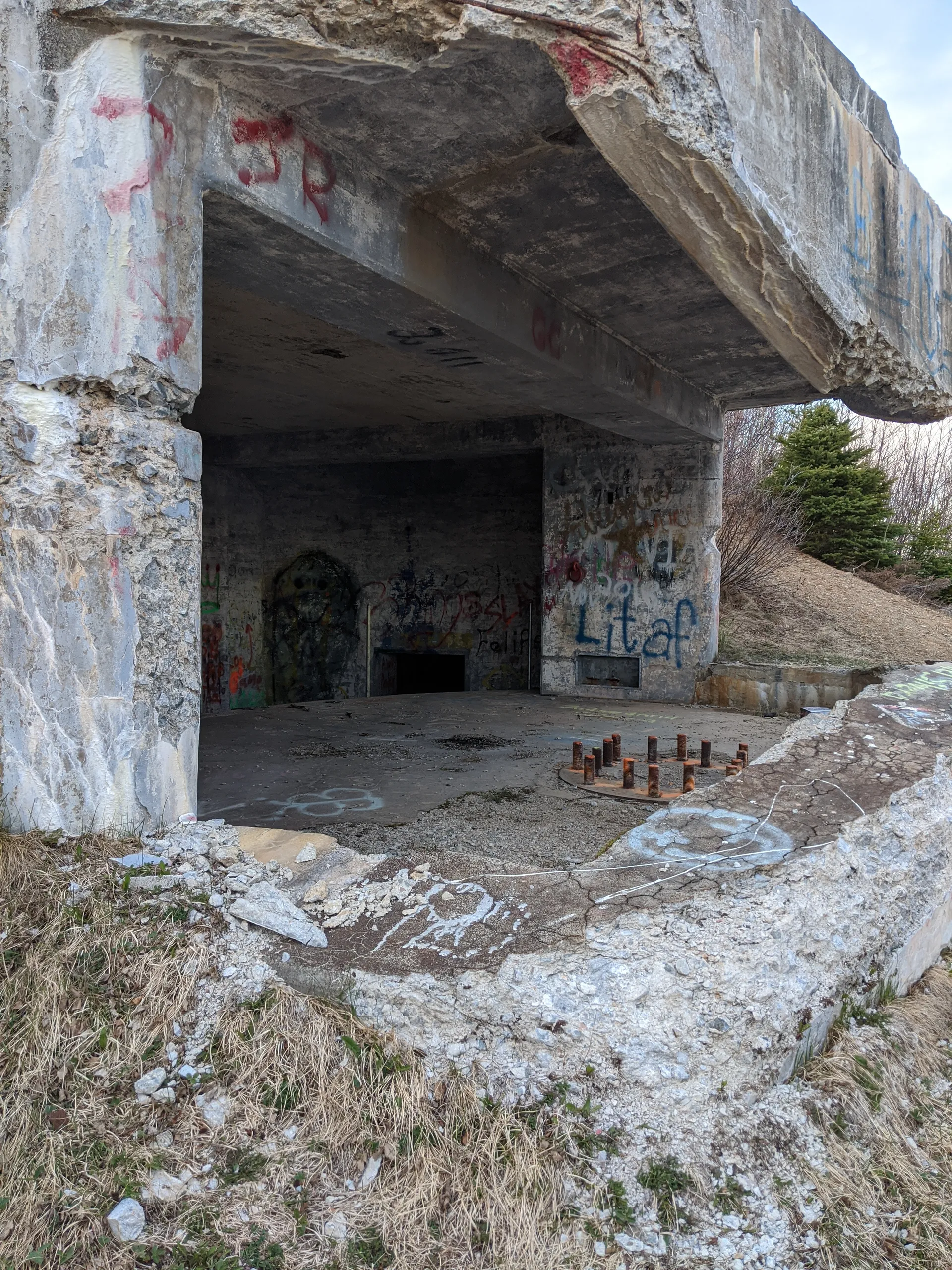 Vexus Xenos OnlyFans header